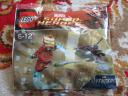 30167polybag.jpg