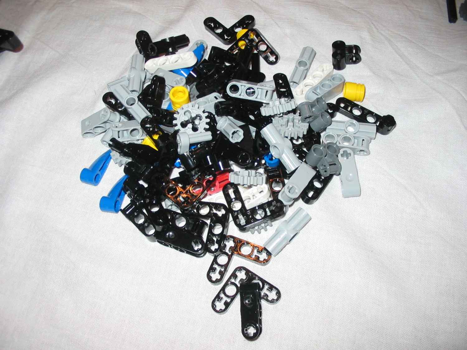 8284g.jpg
