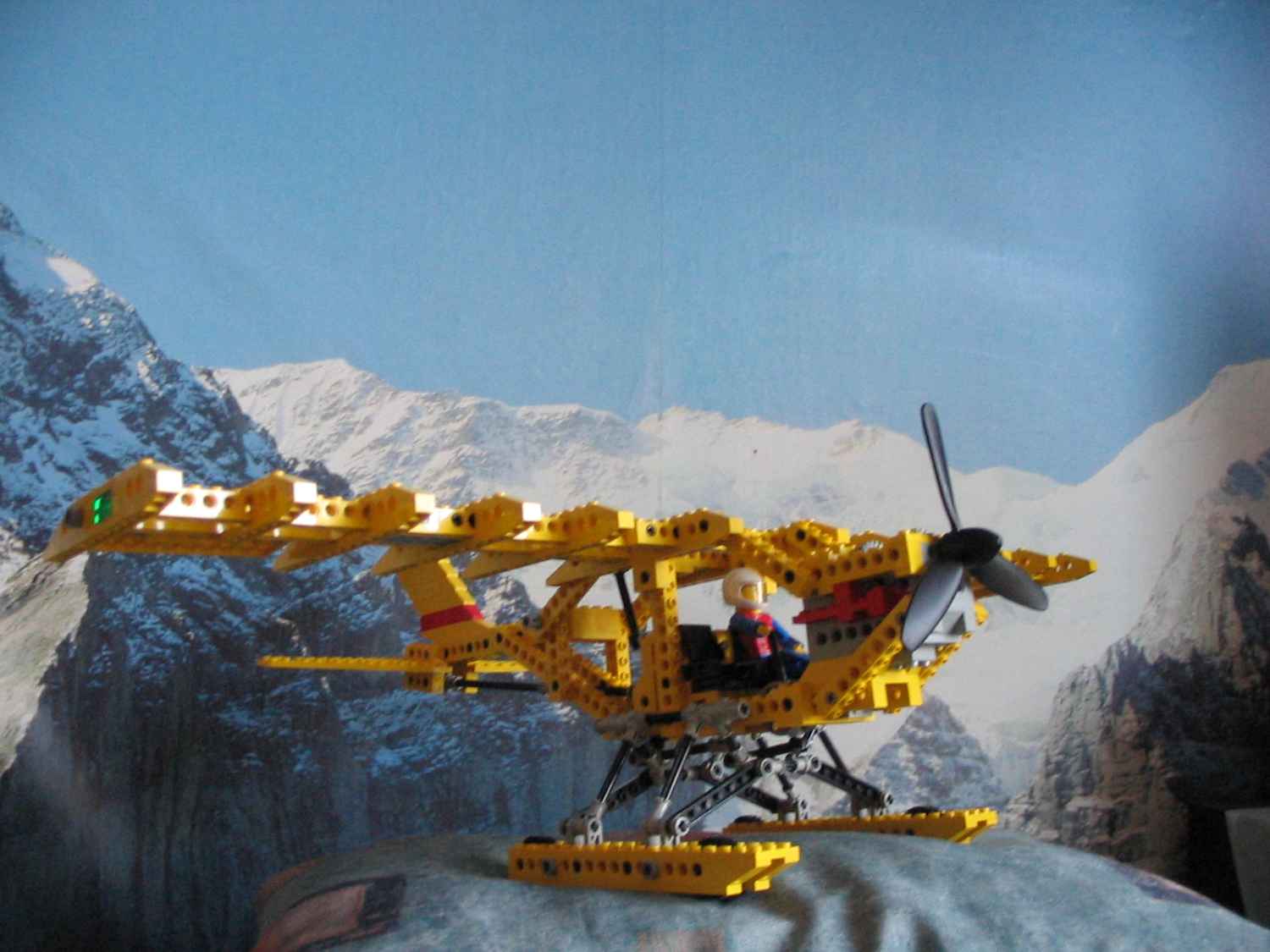 8855fly.jpg