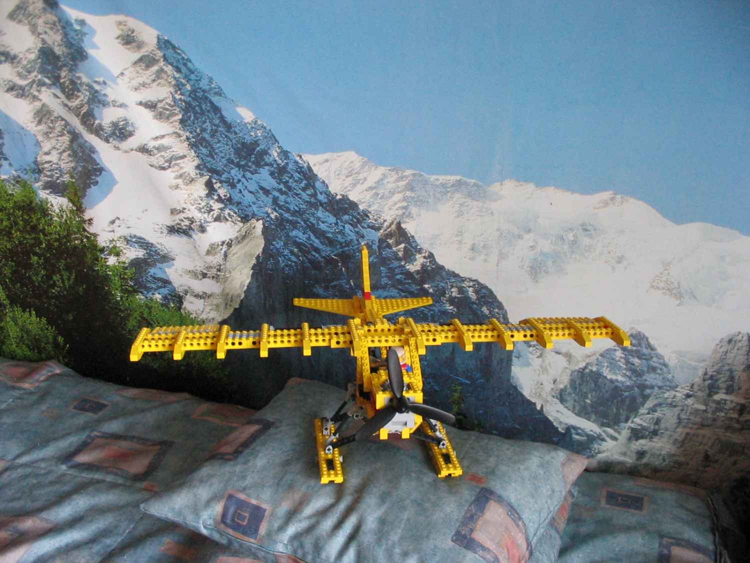 8855fly3.jpg