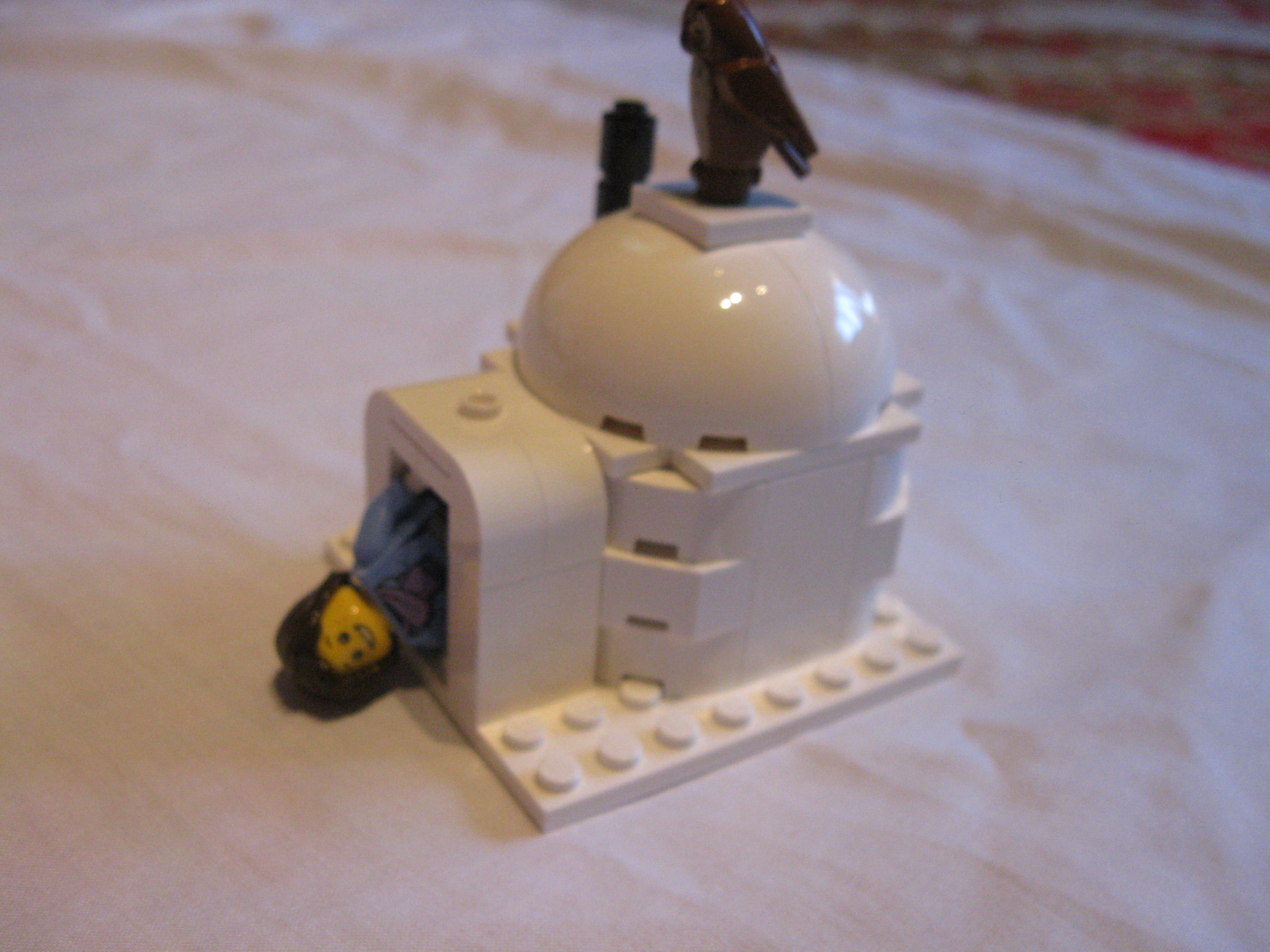 10229igluside5.jpg