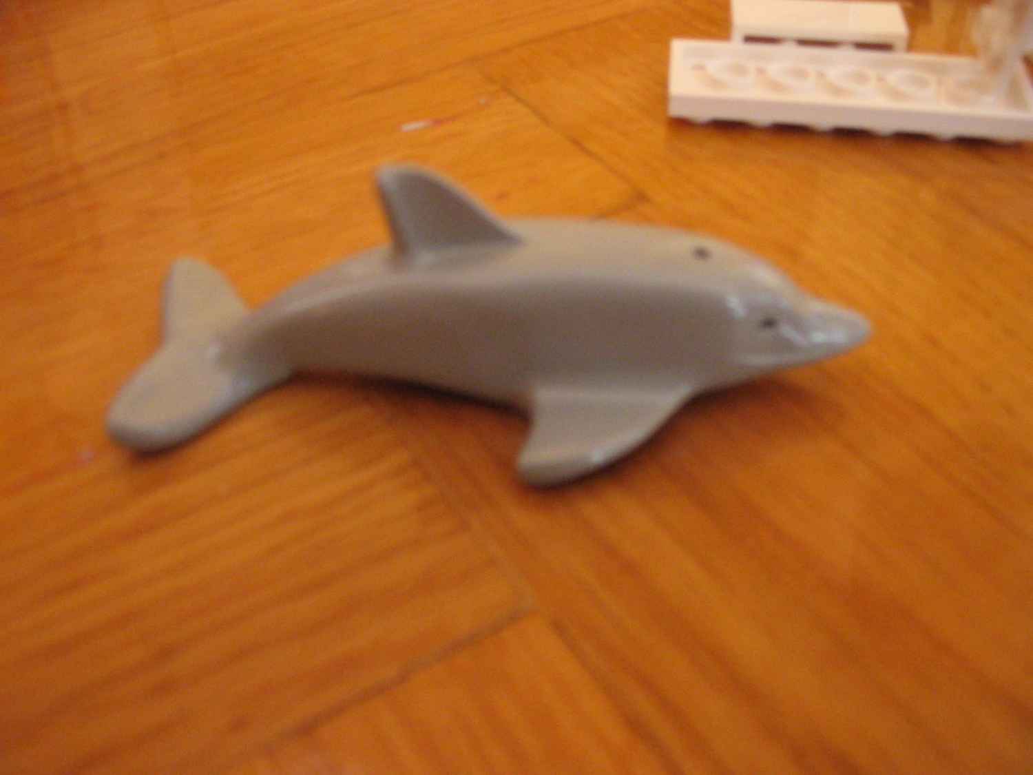 1815dolphin.jpg