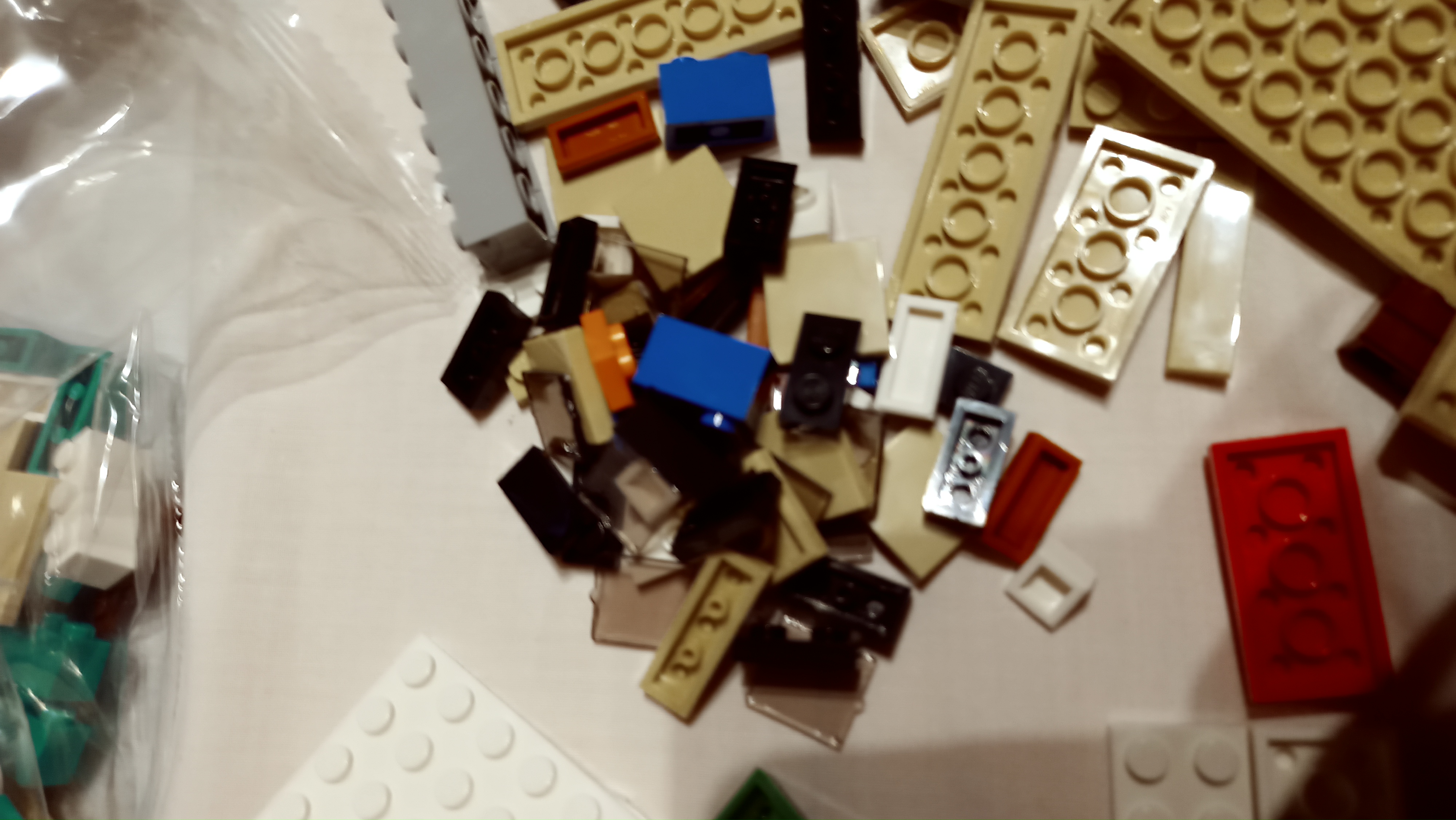 20221224_231131.jpg