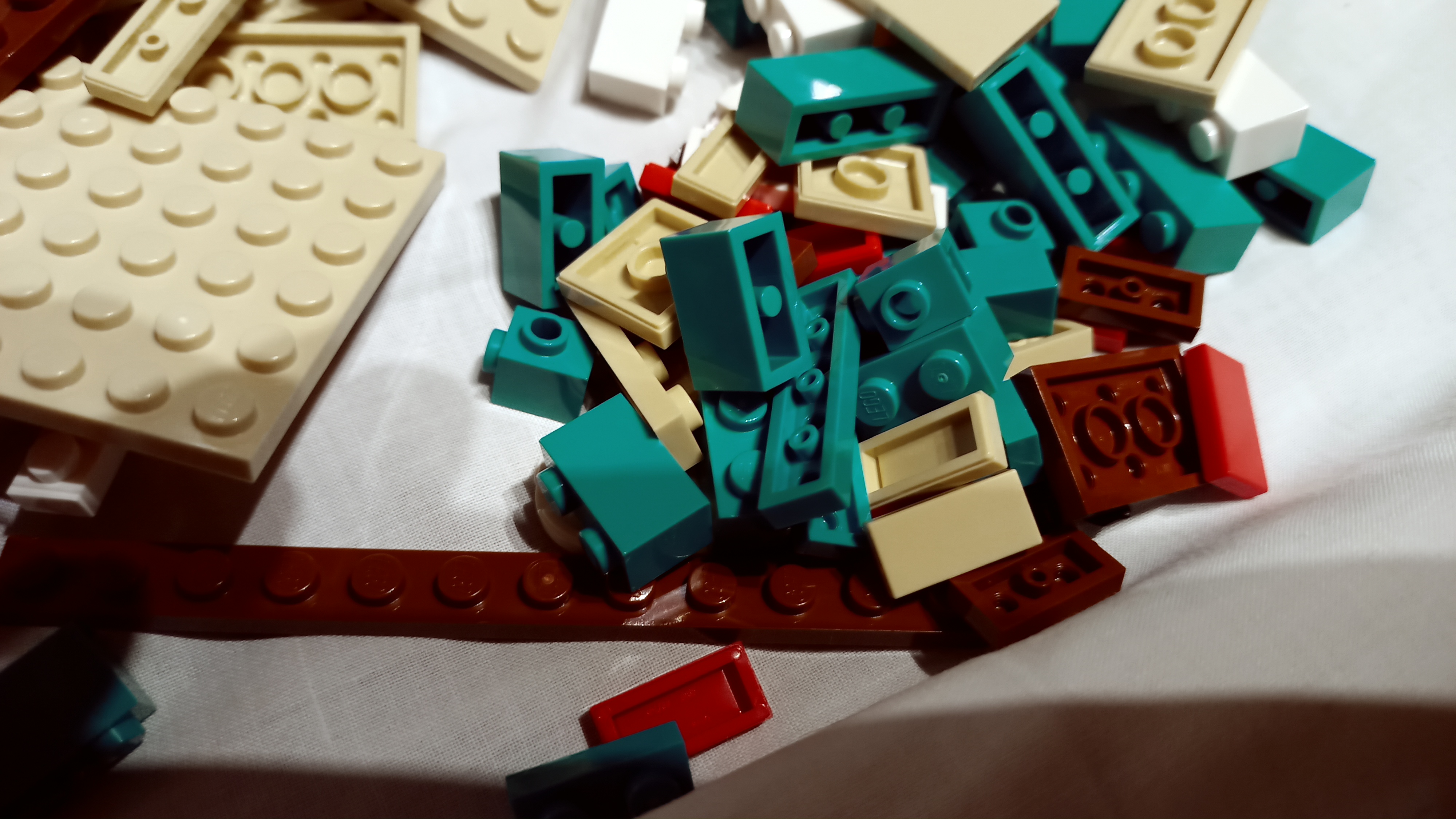 20221224_231650.jpg