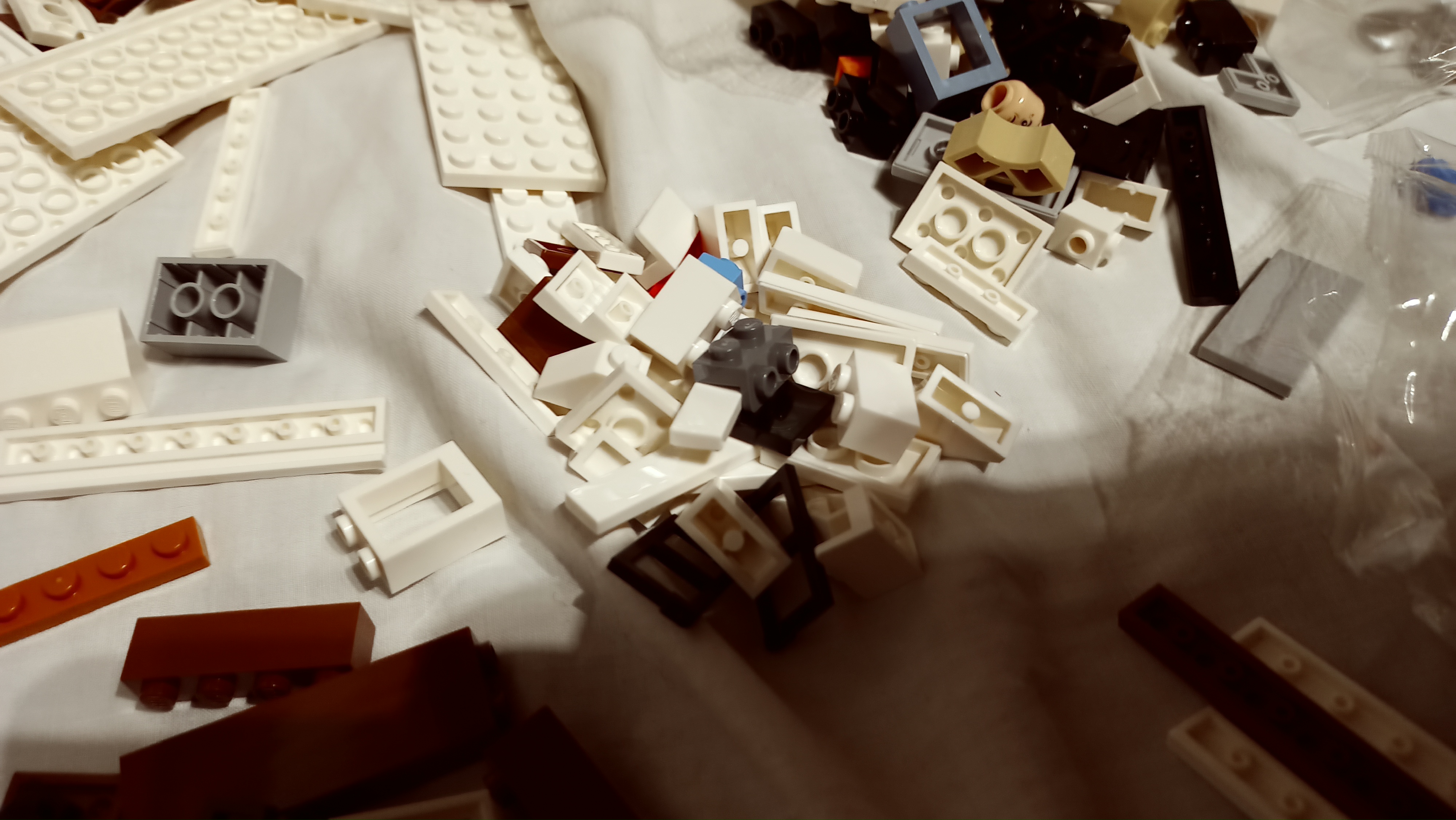 20221224_232250.jpg