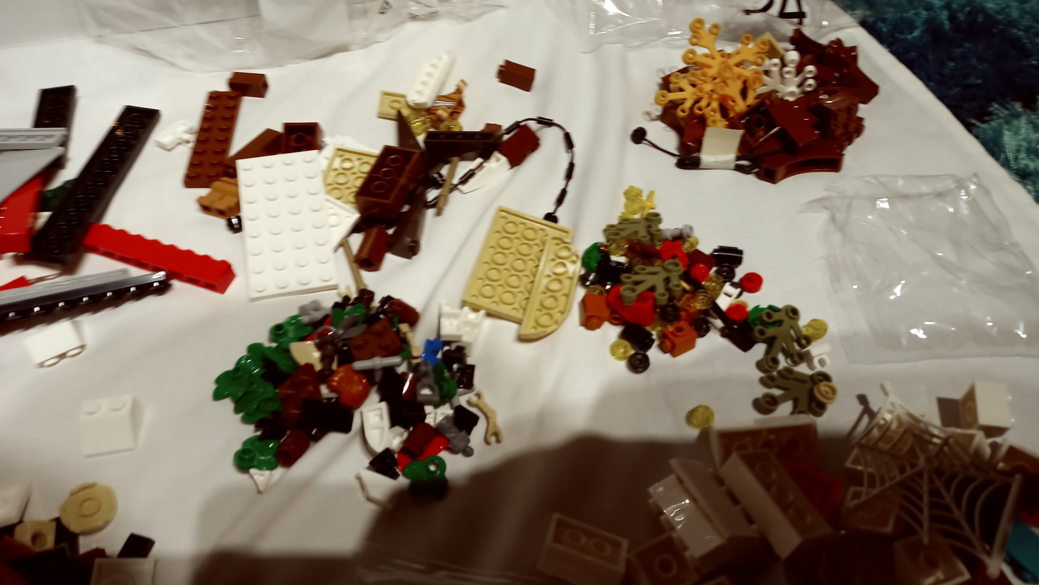 20221224_232553.jpg
