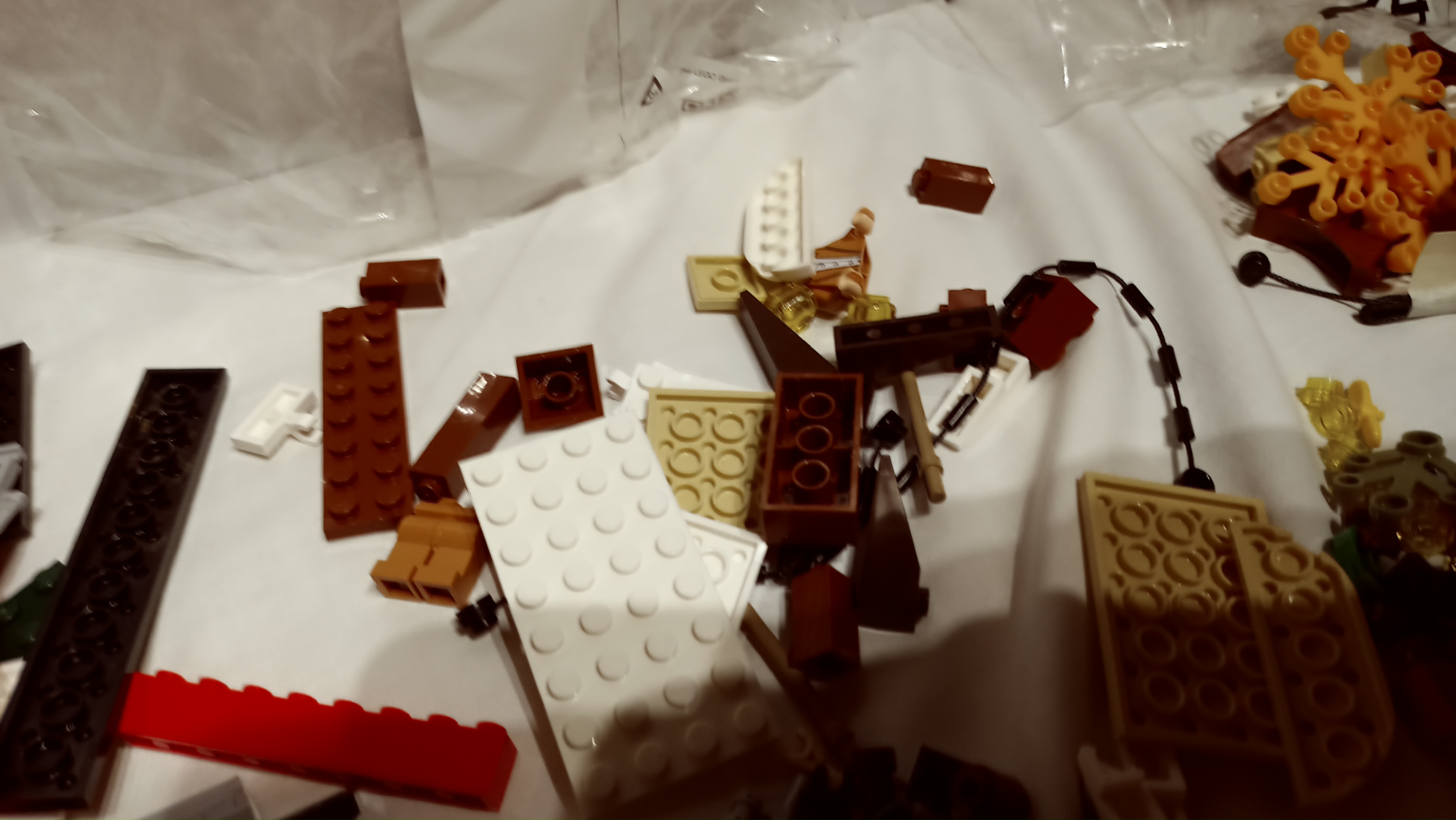 20221224_232558.jpg