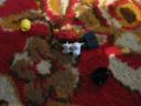2824day06b.jpg