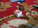 2824day08.jpg