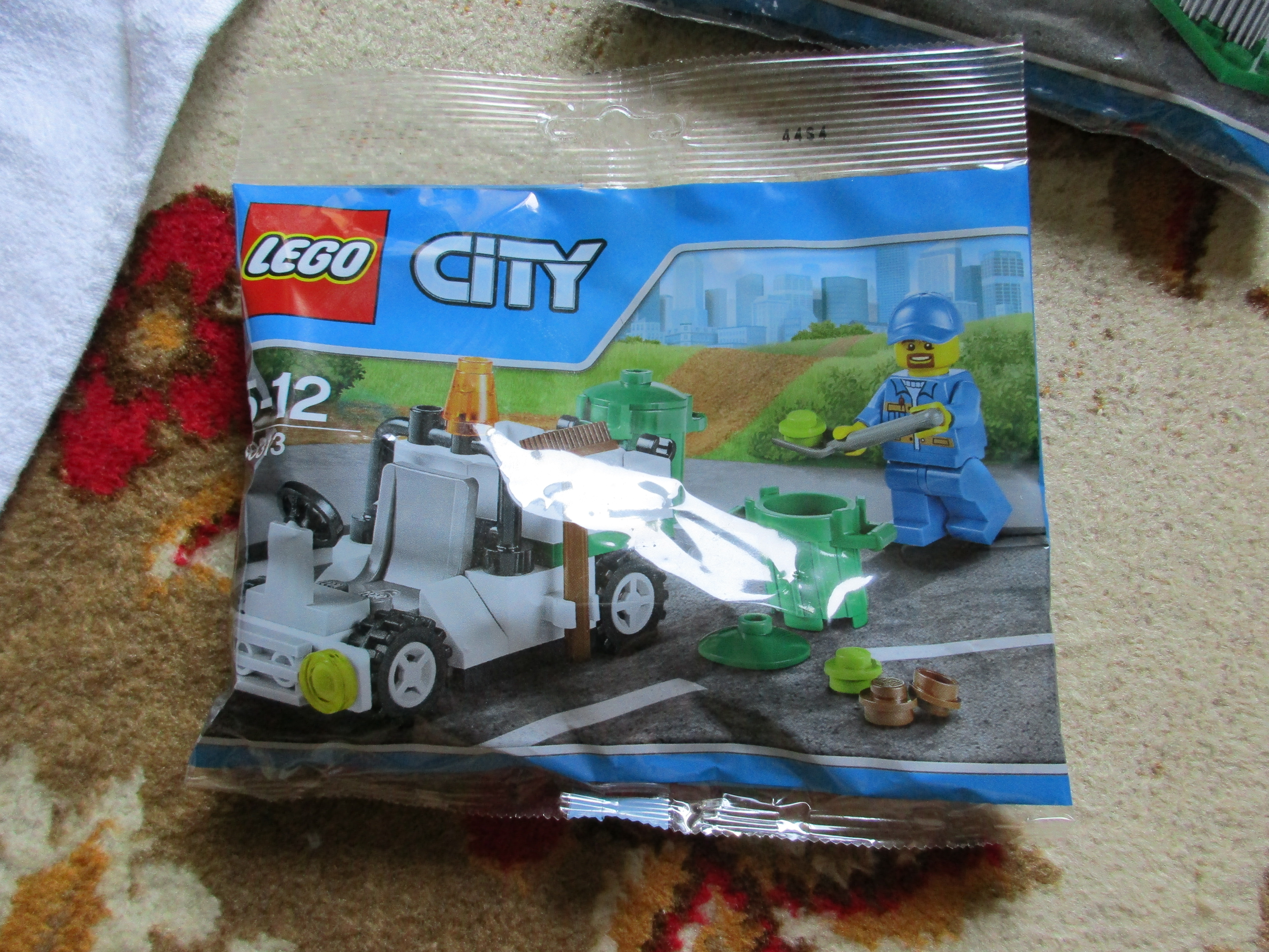 30313poylbag.jpg