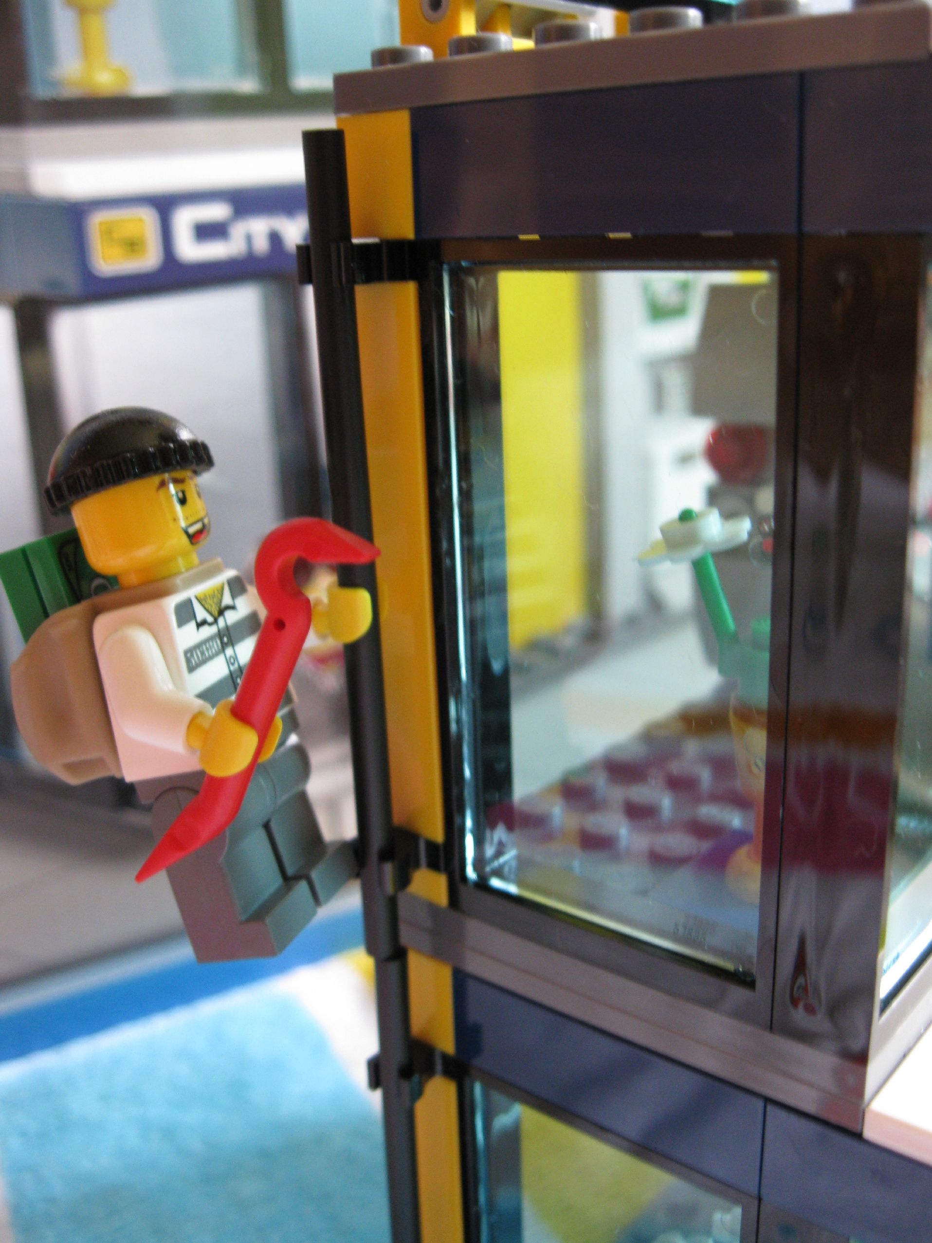3661robber.jpg