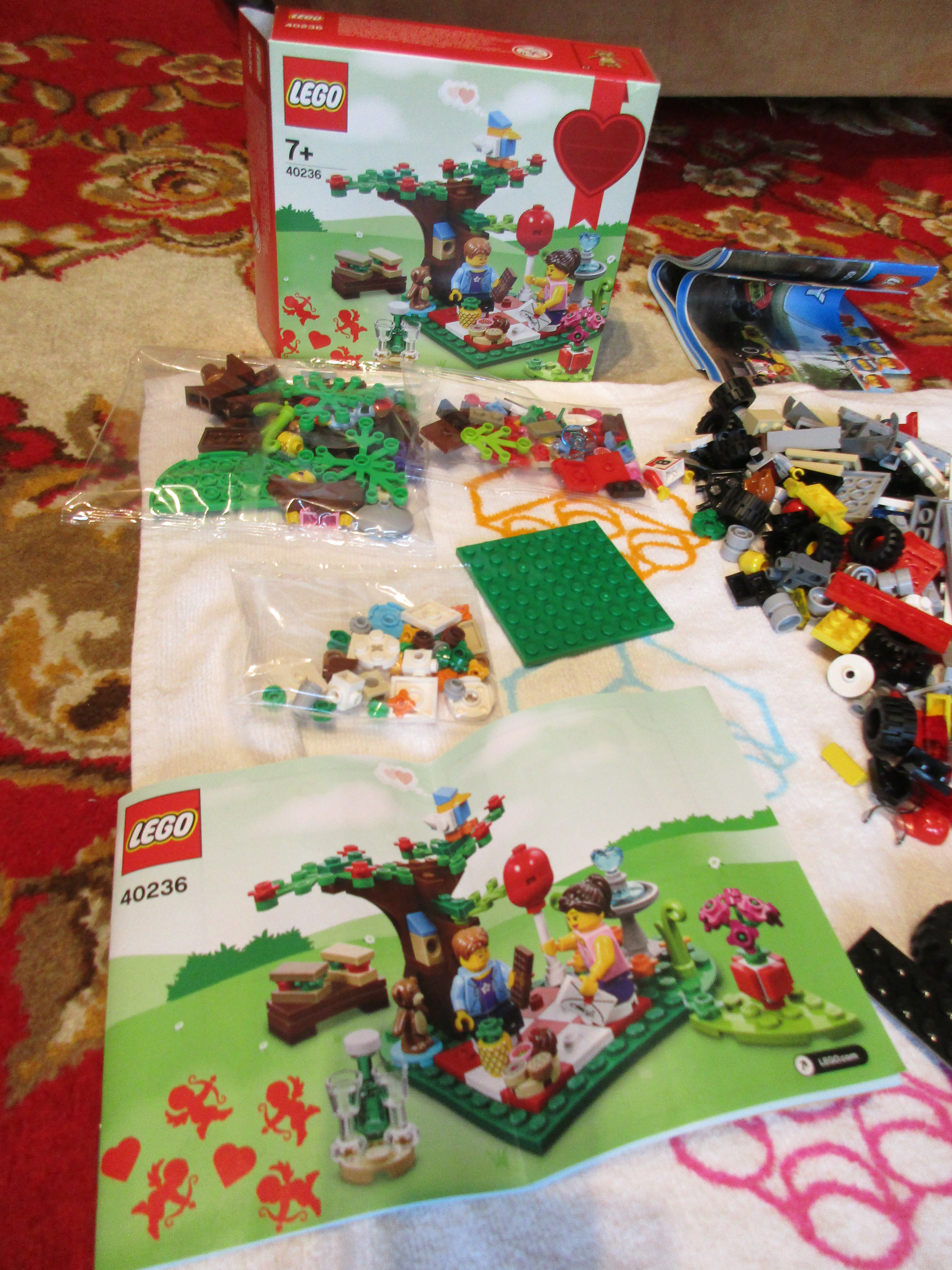 40236c.jpg