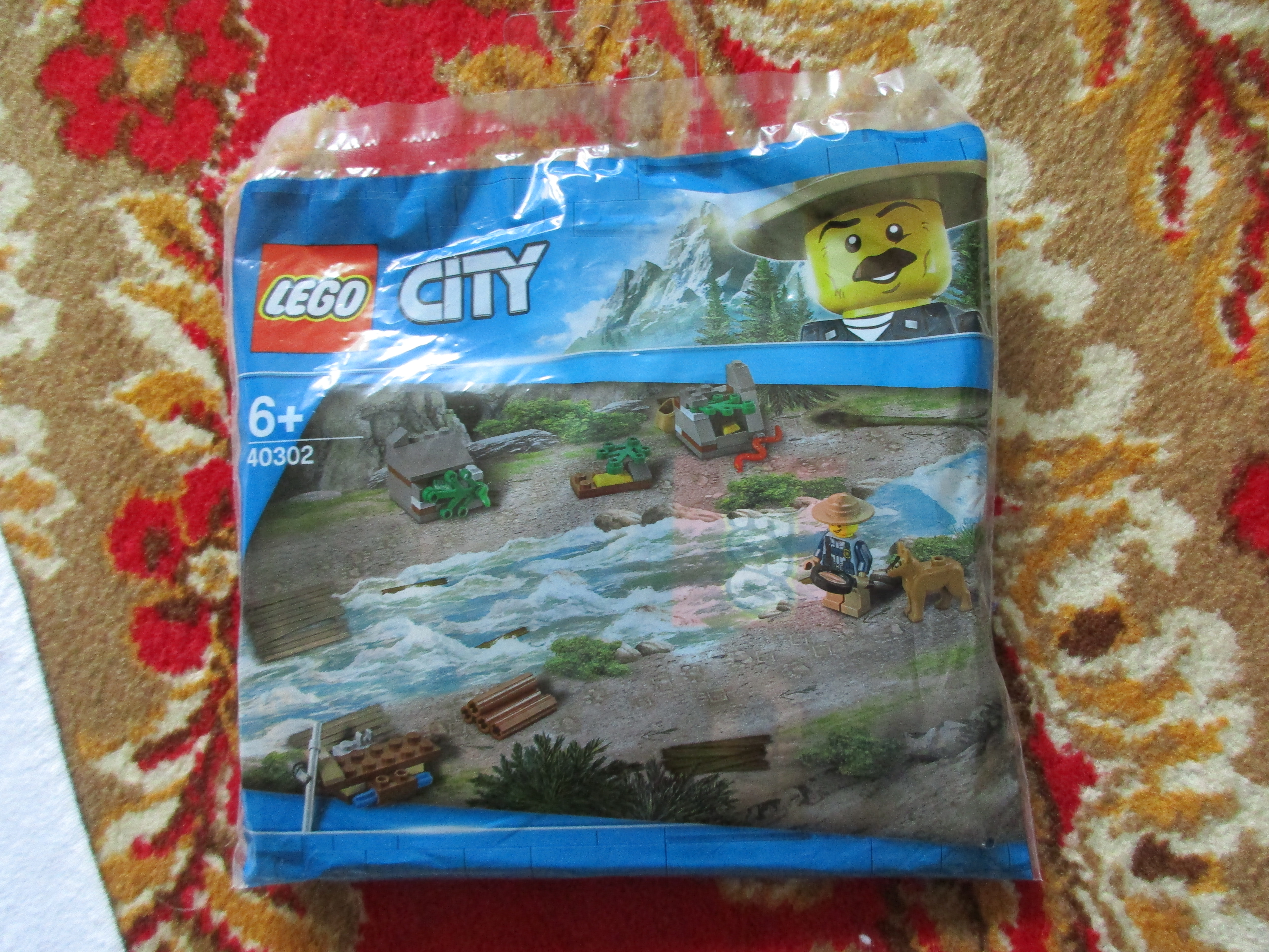 40302polybag.jpg