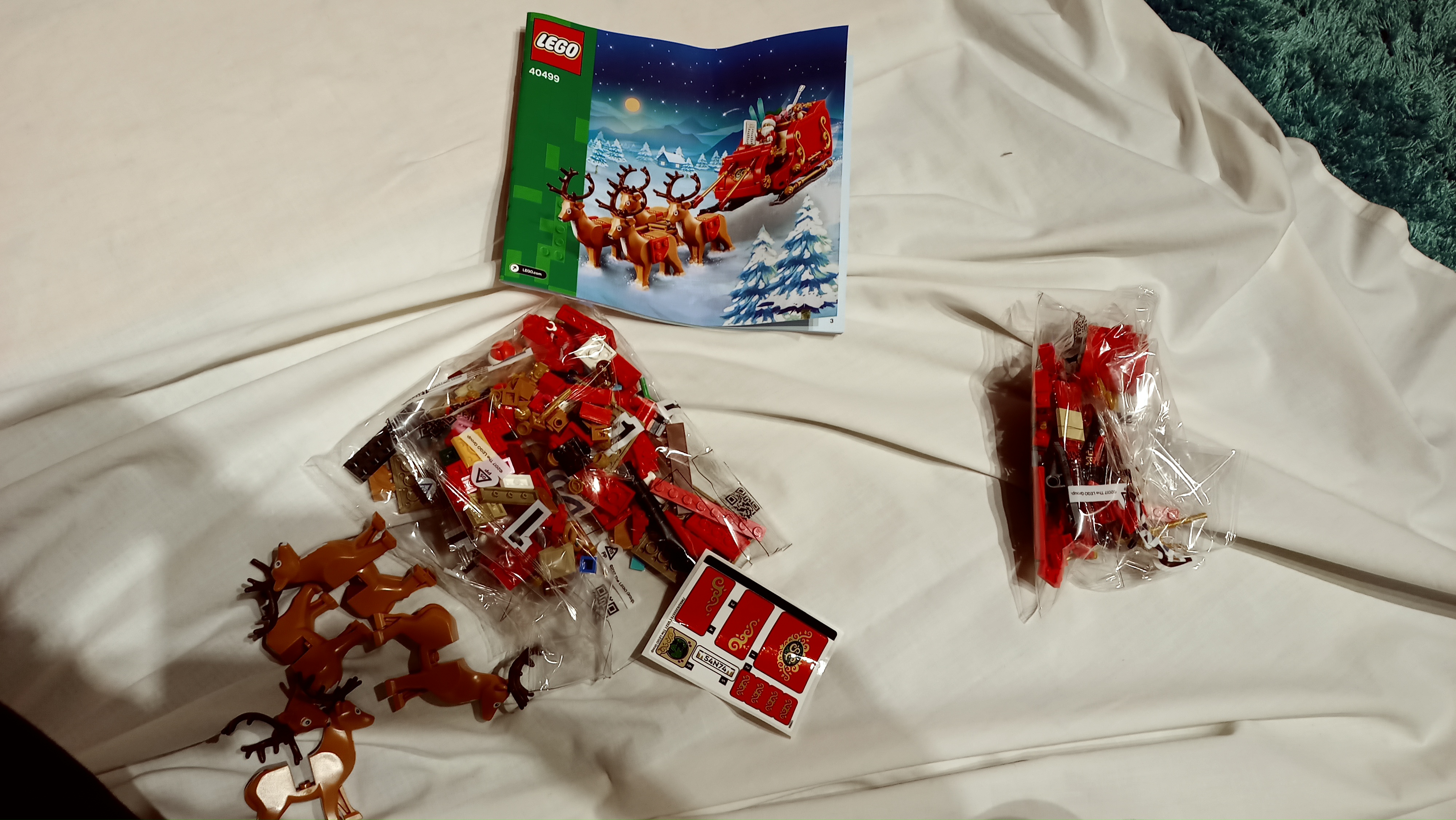 20221224_205150.jpg