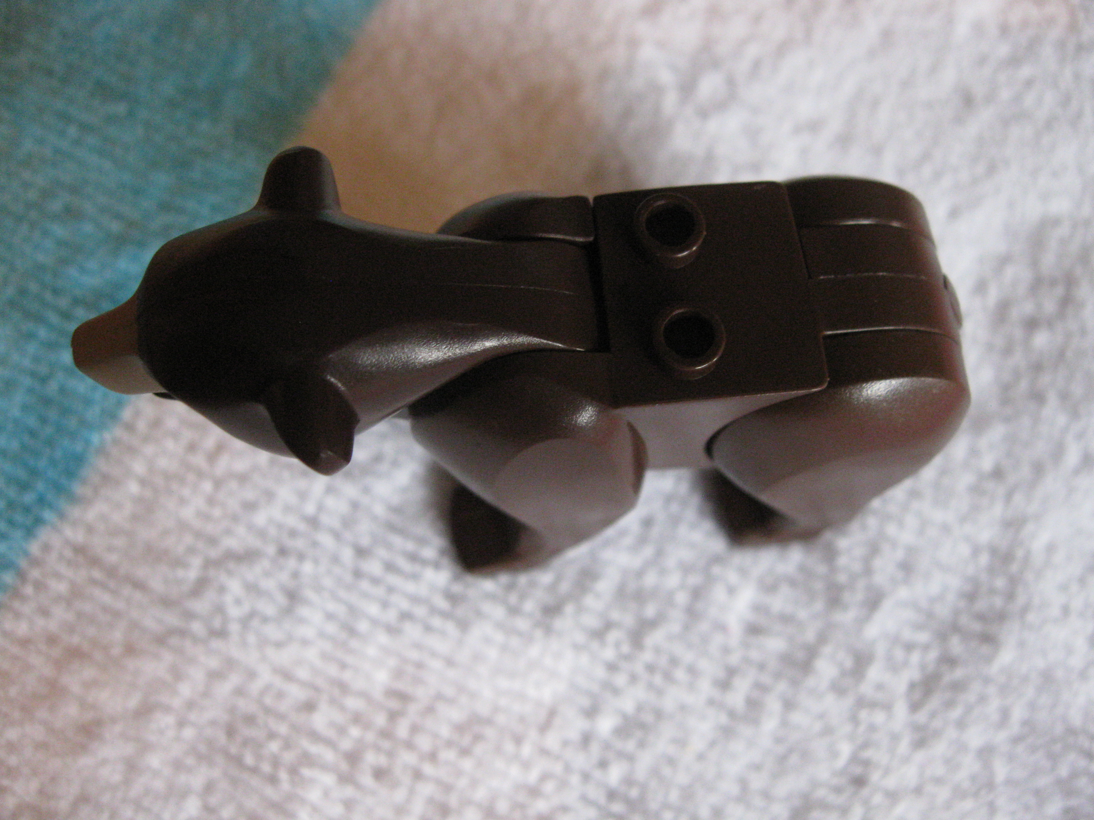 4438bear3.jpg