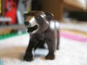 4438bear4.jpg