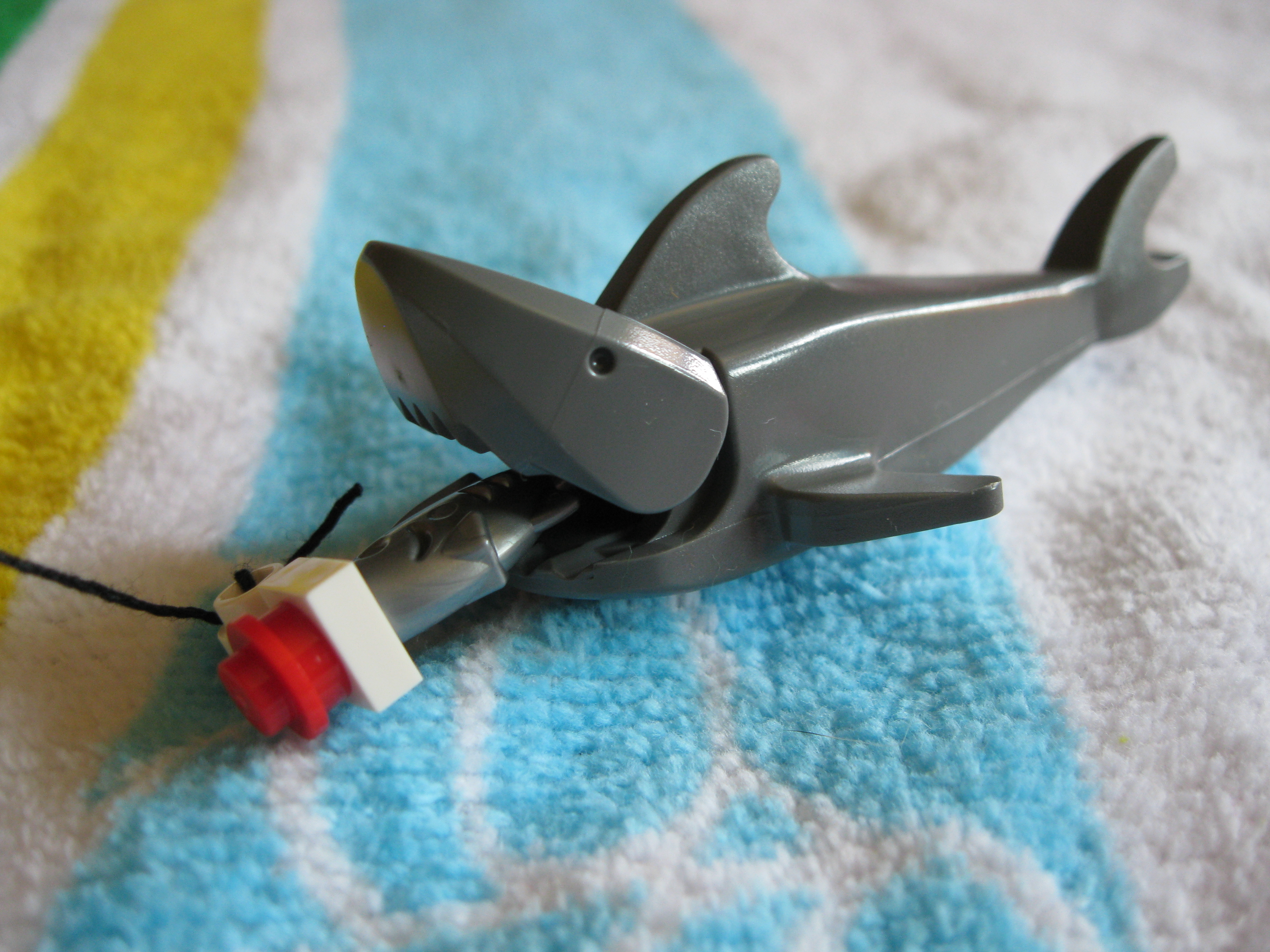 4642shark.jpg