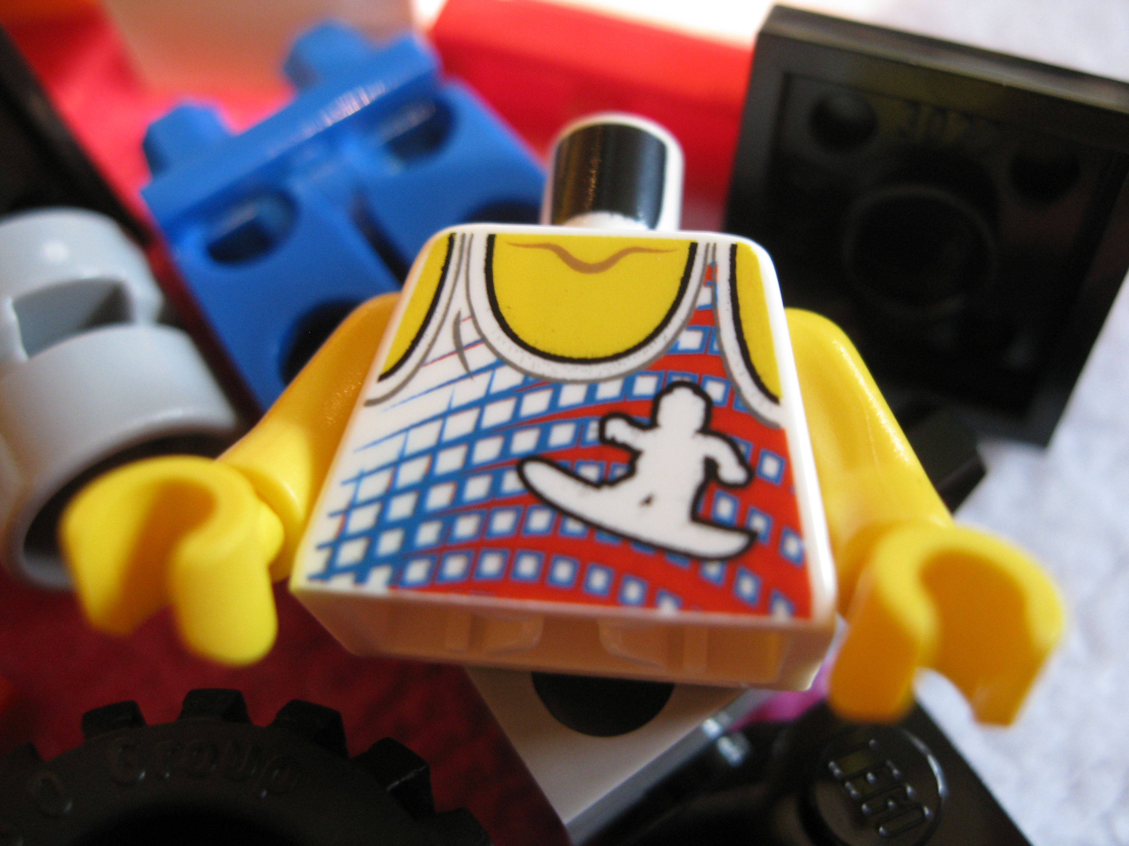 4644surferertorso.jpg