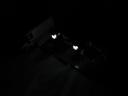 4999night13.jpg
