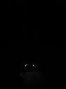4999night2.jpg
