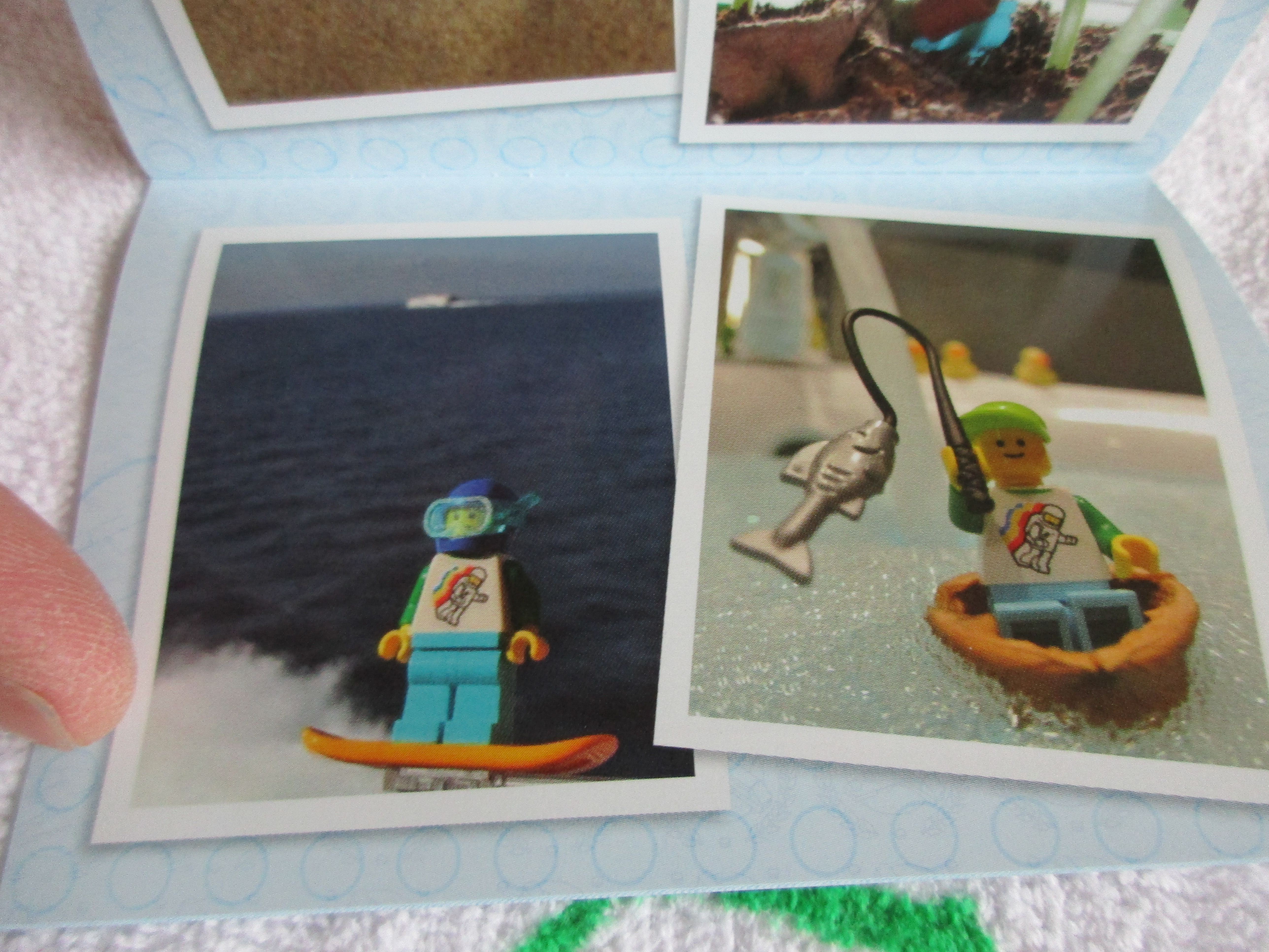 img_5383.jpg