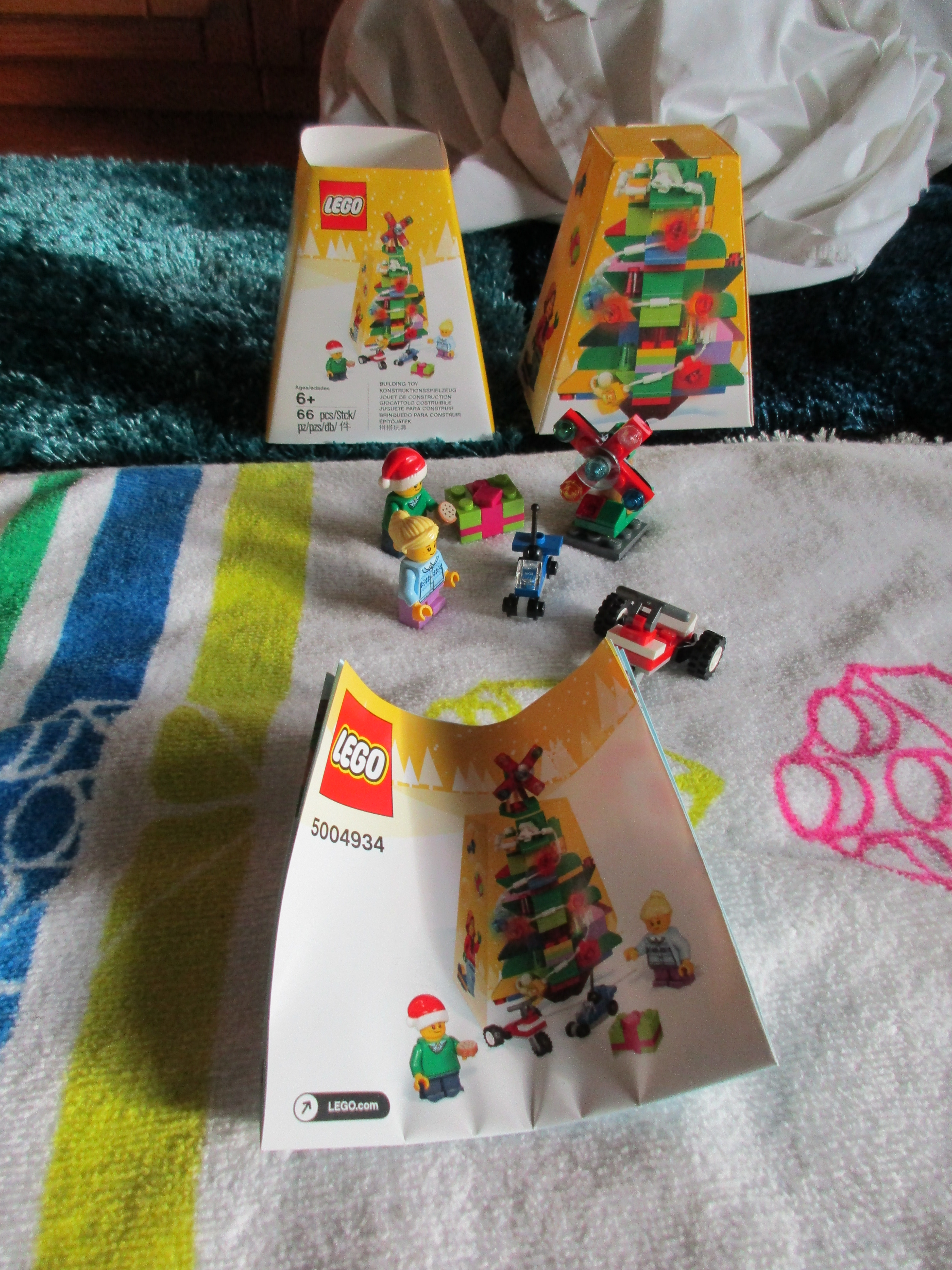 5004934.jpg