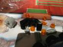 60024day11c.jpg