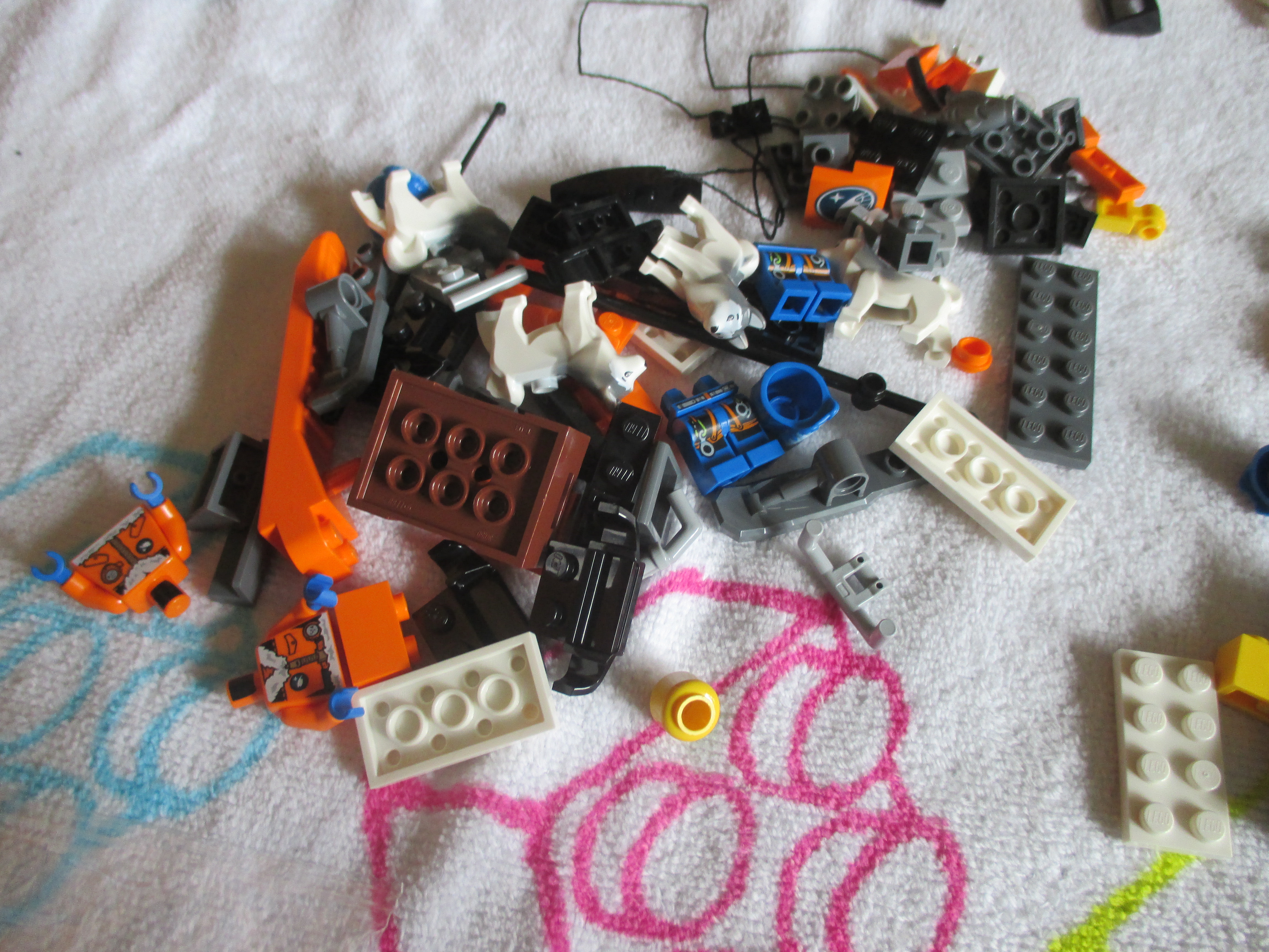 60036zb.jpg