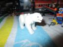 60036bear2.jpg