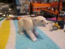 60036bear3.jpg