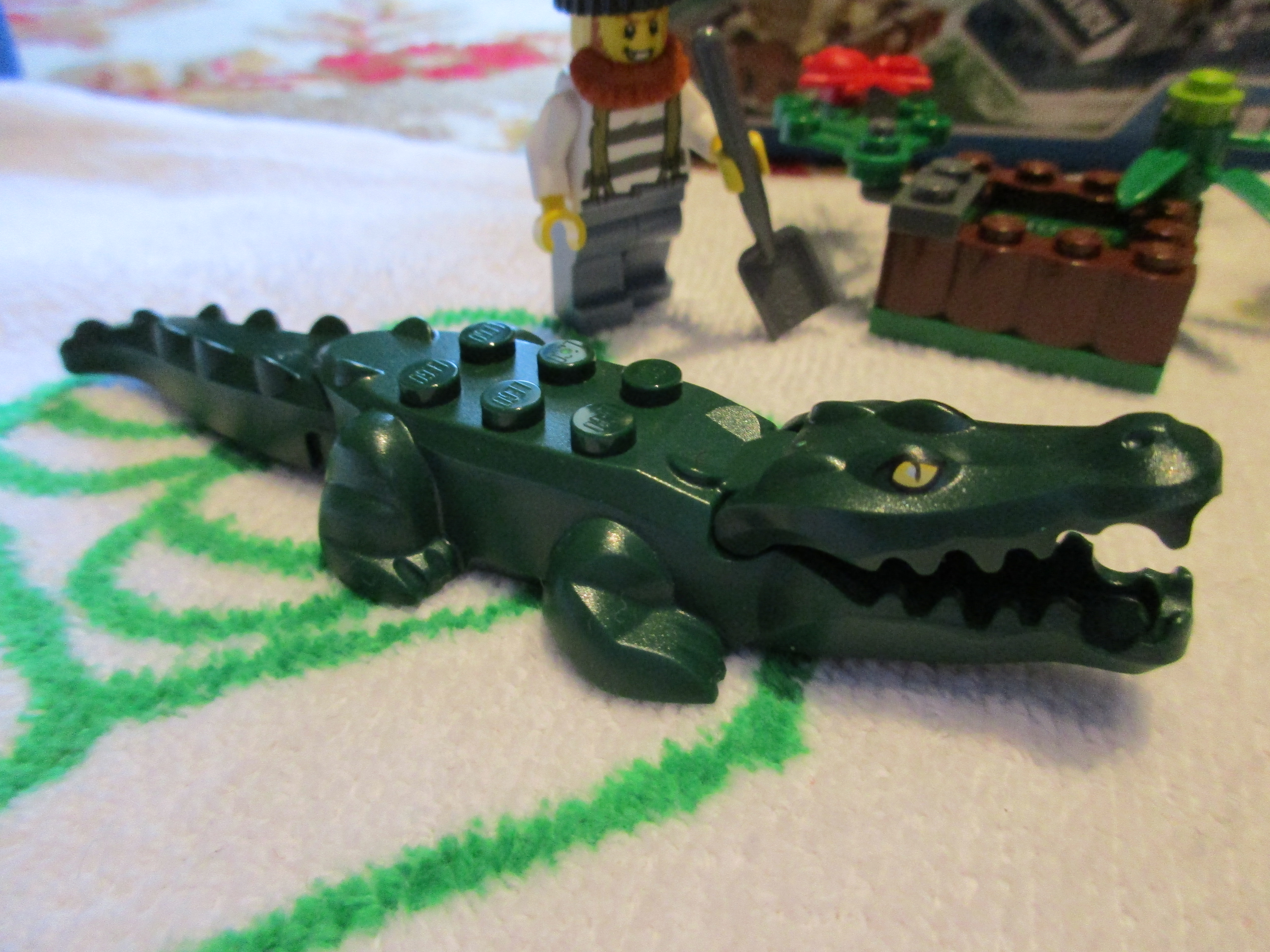 60066crocodile.jpg