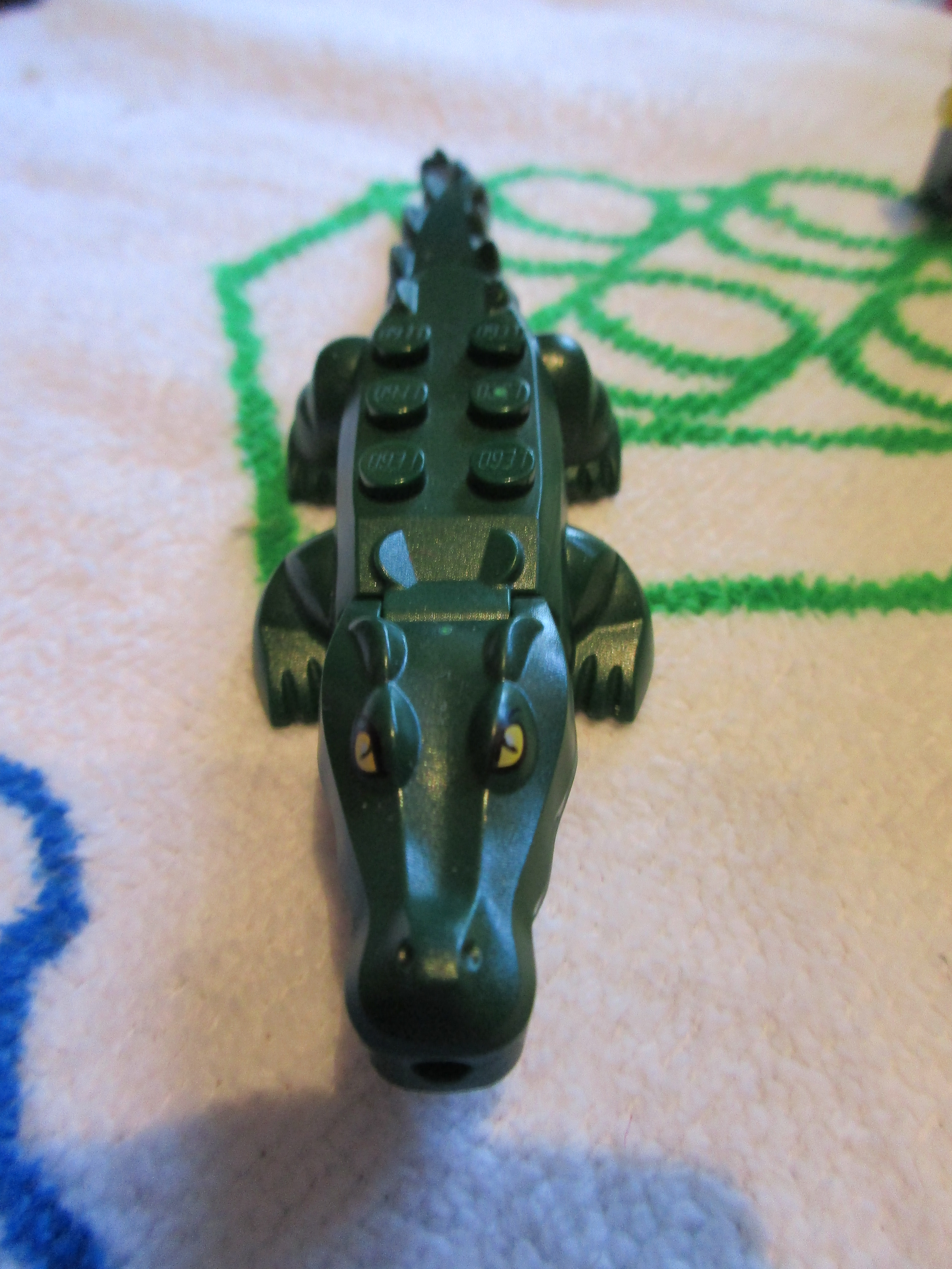60066crocodile2.jpg