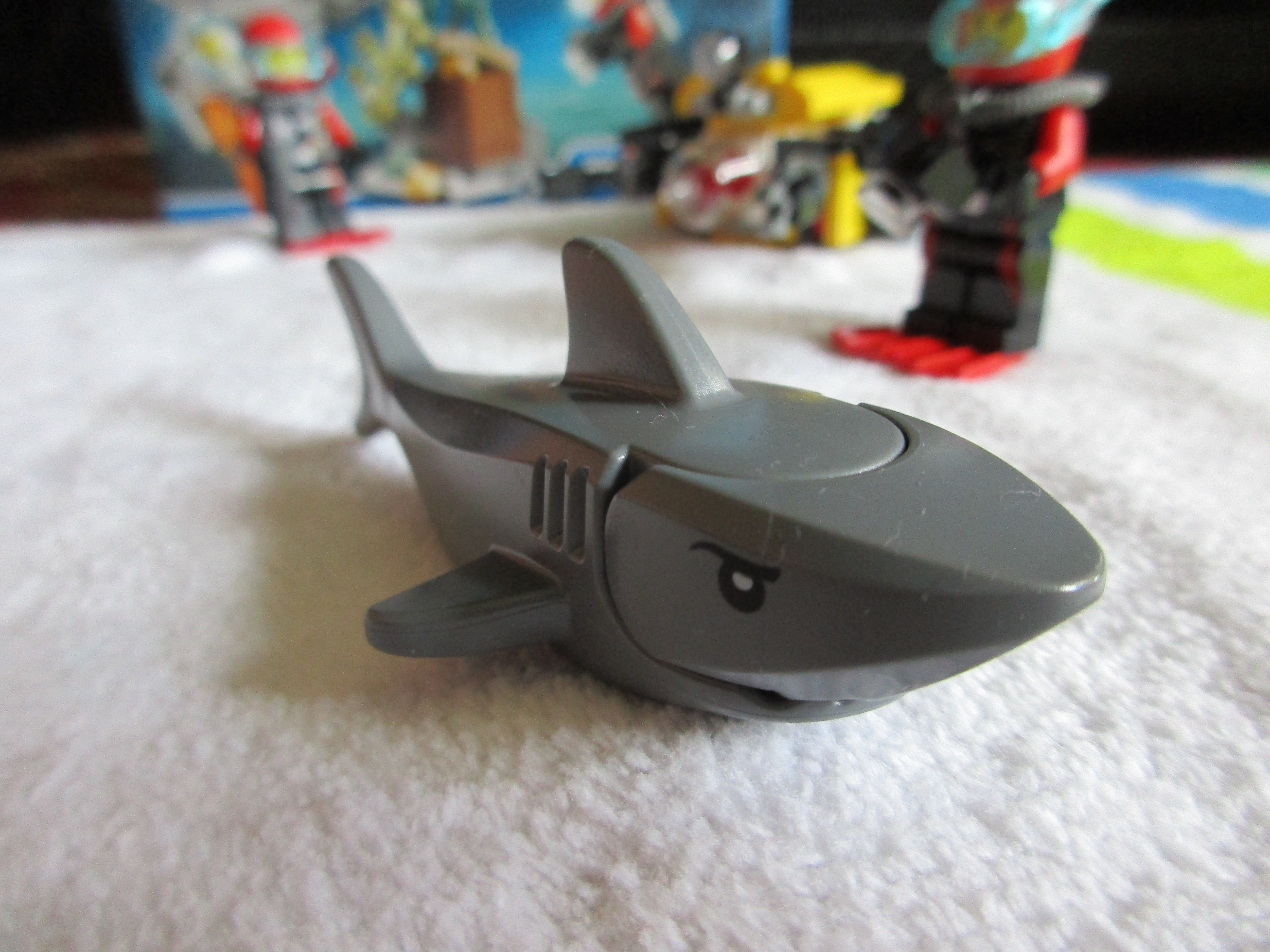 60091shark.jpg