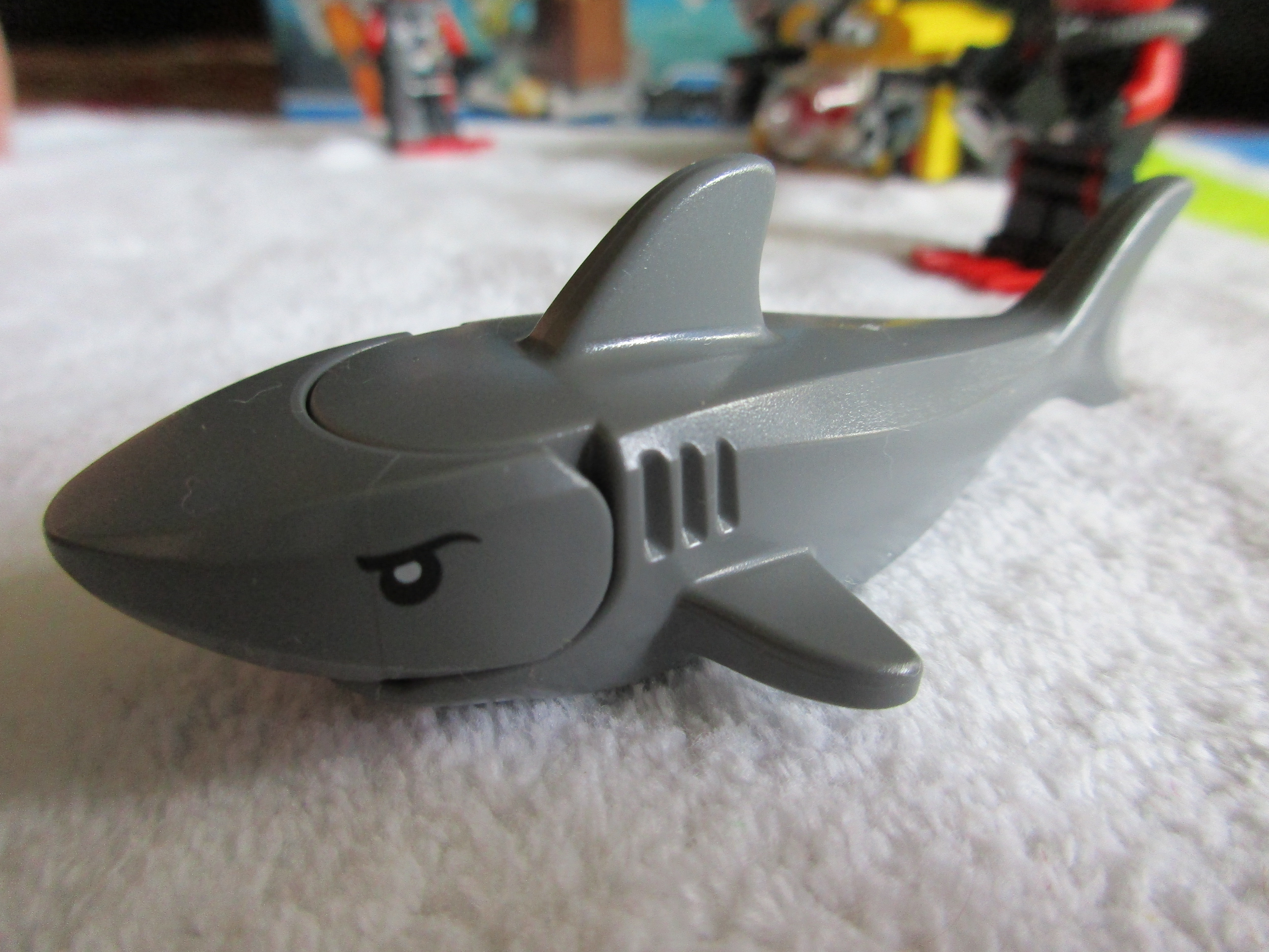 60091shark2.jpg