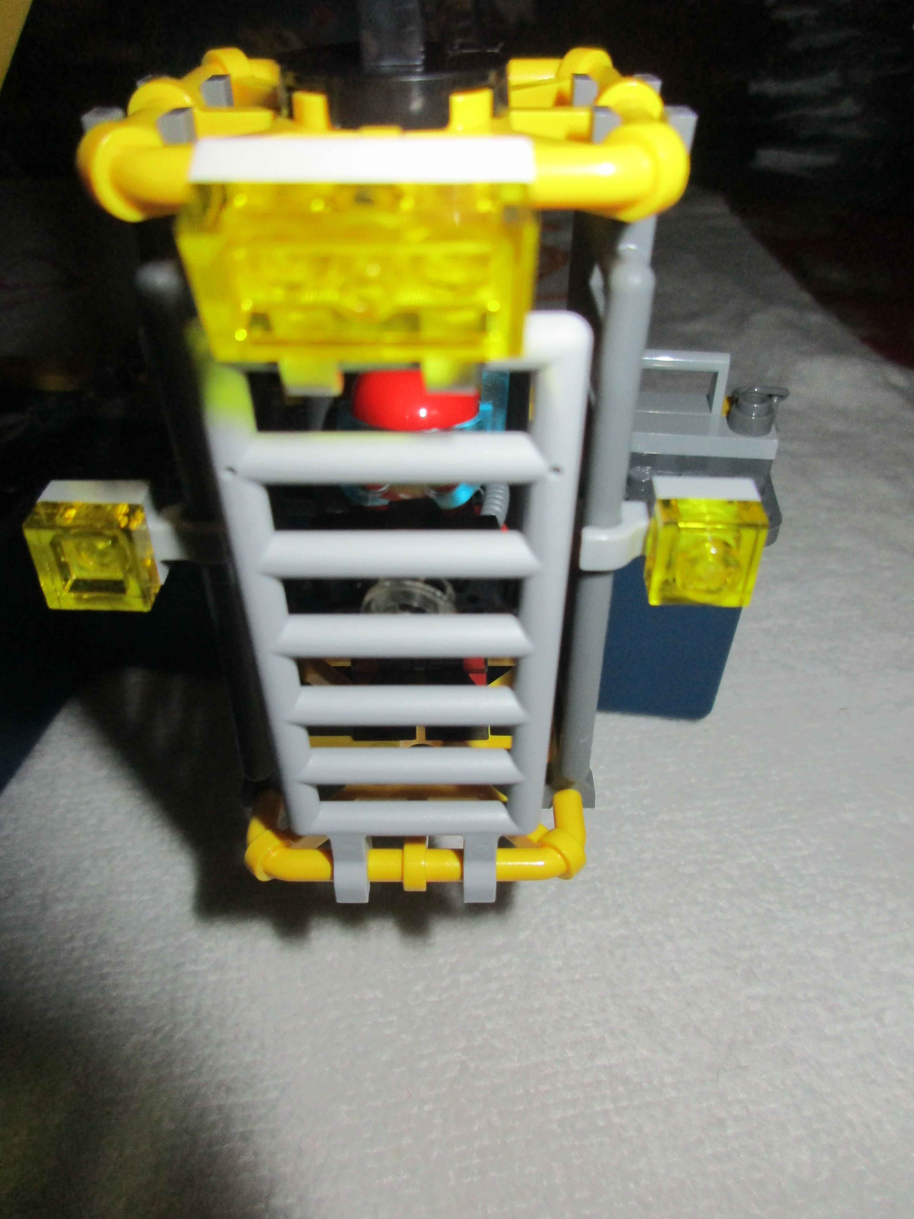 60095cage.jpg