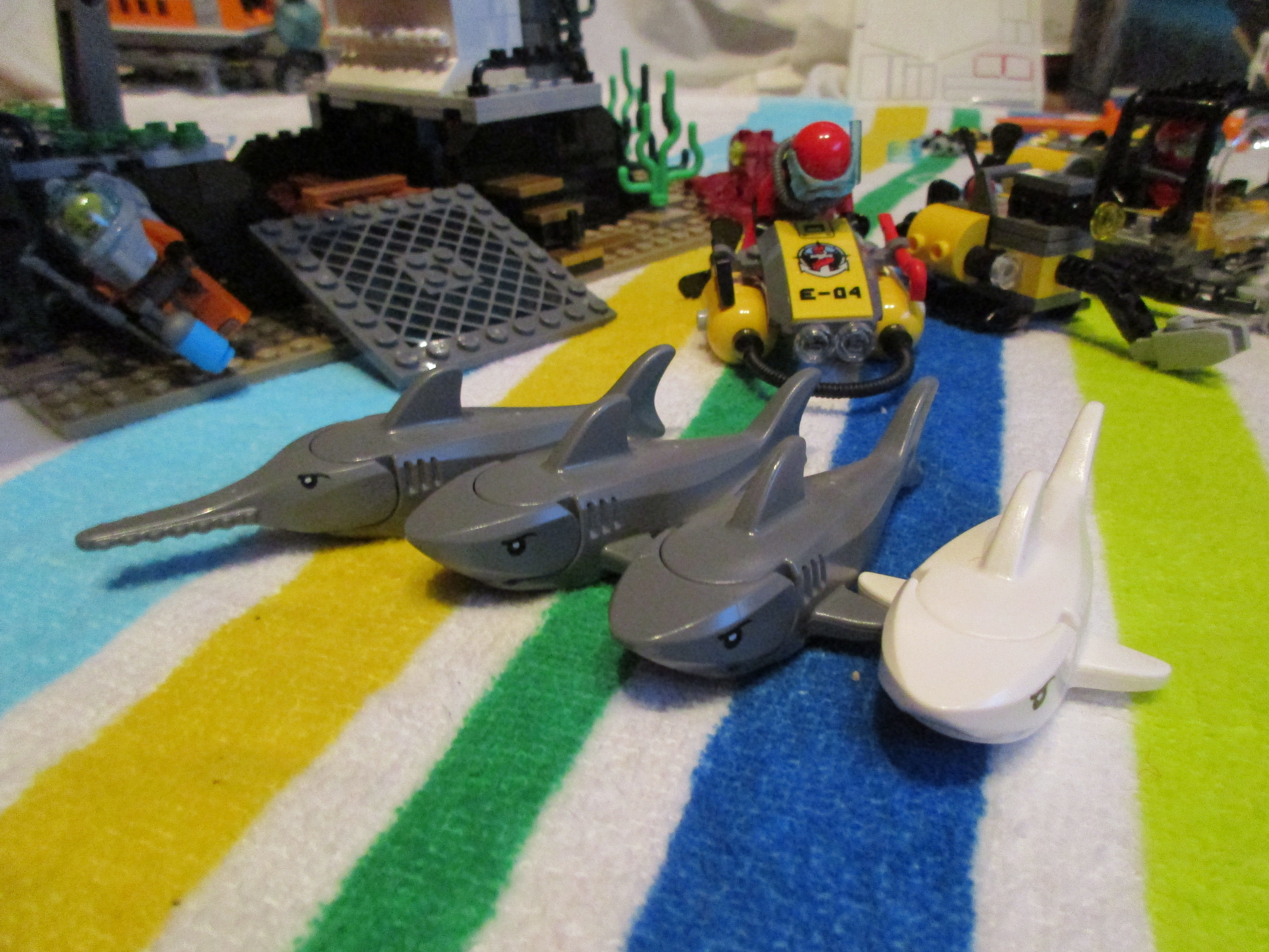 60095sharks.jpg