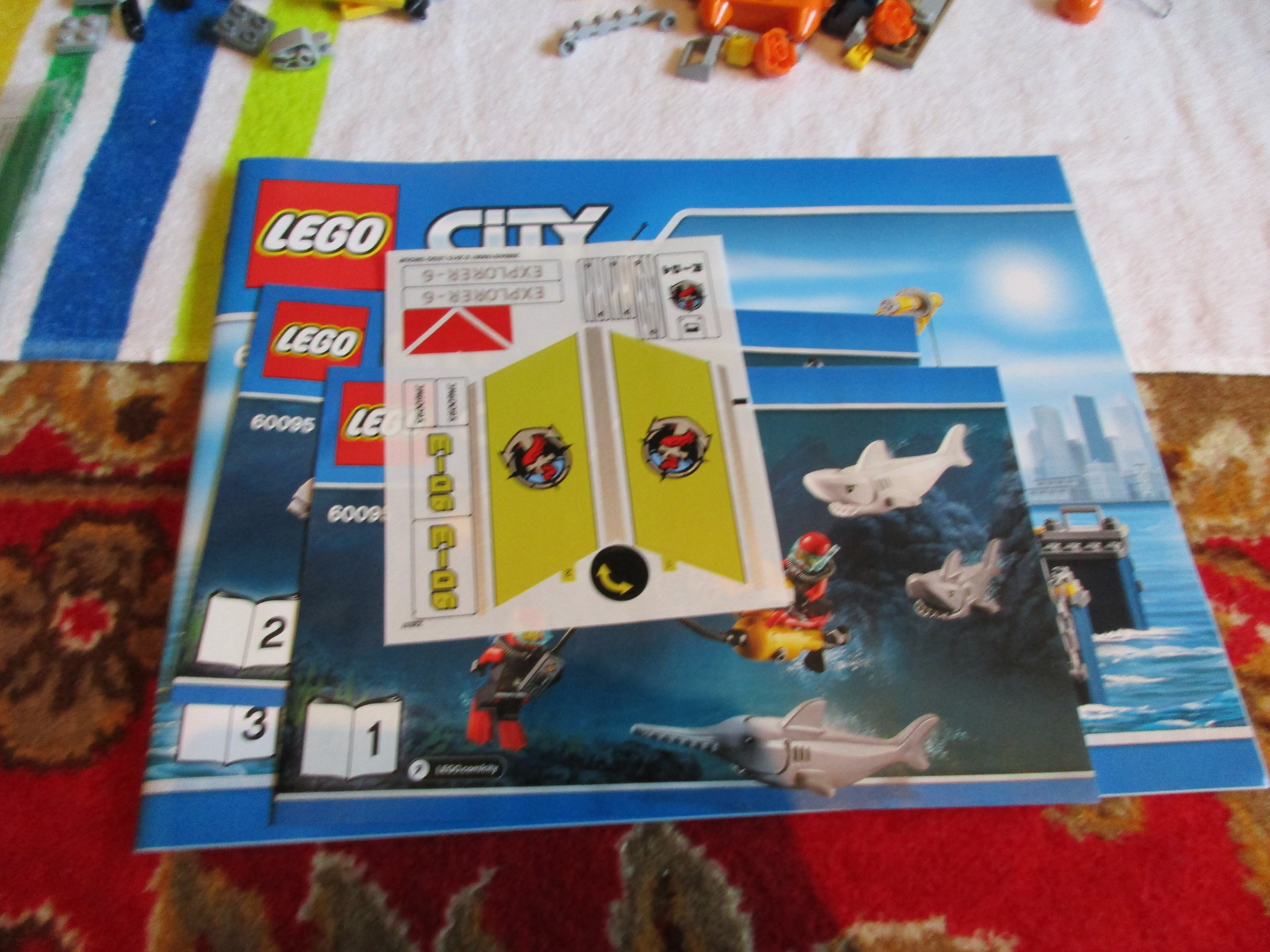 60095zw.jpg