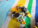 60095zn.jpg