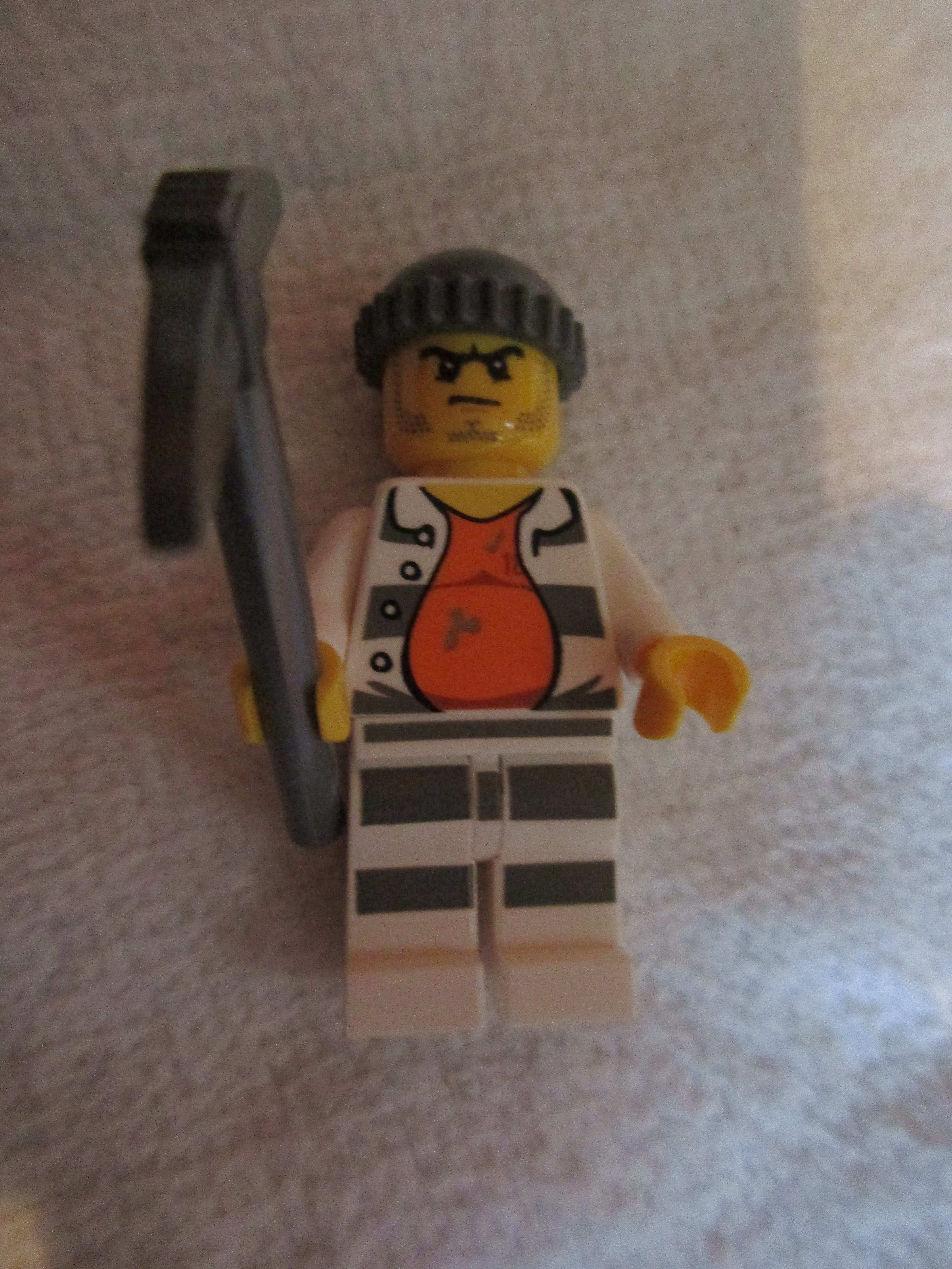 60127robber.jpg