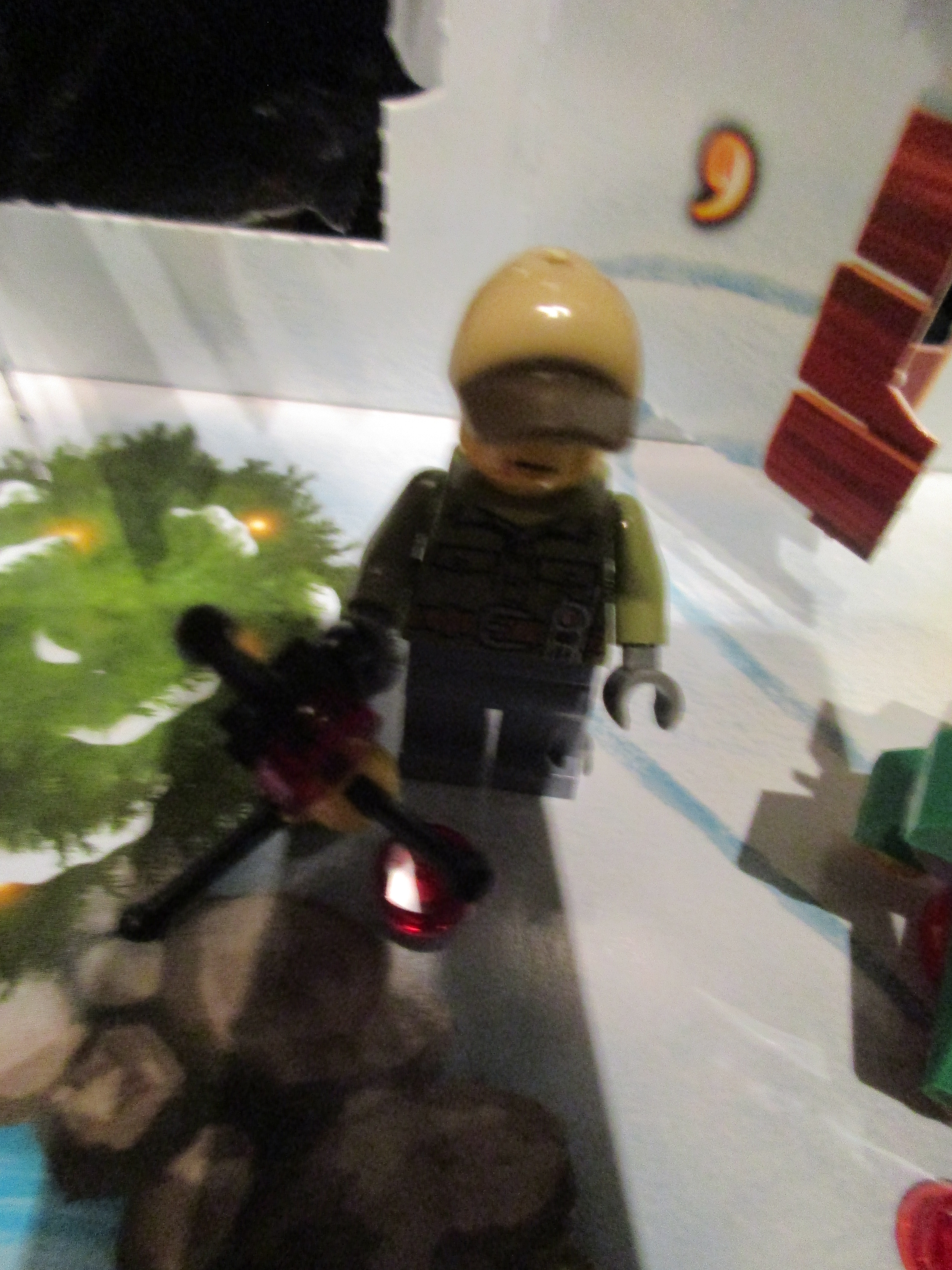 60133day13.jpg