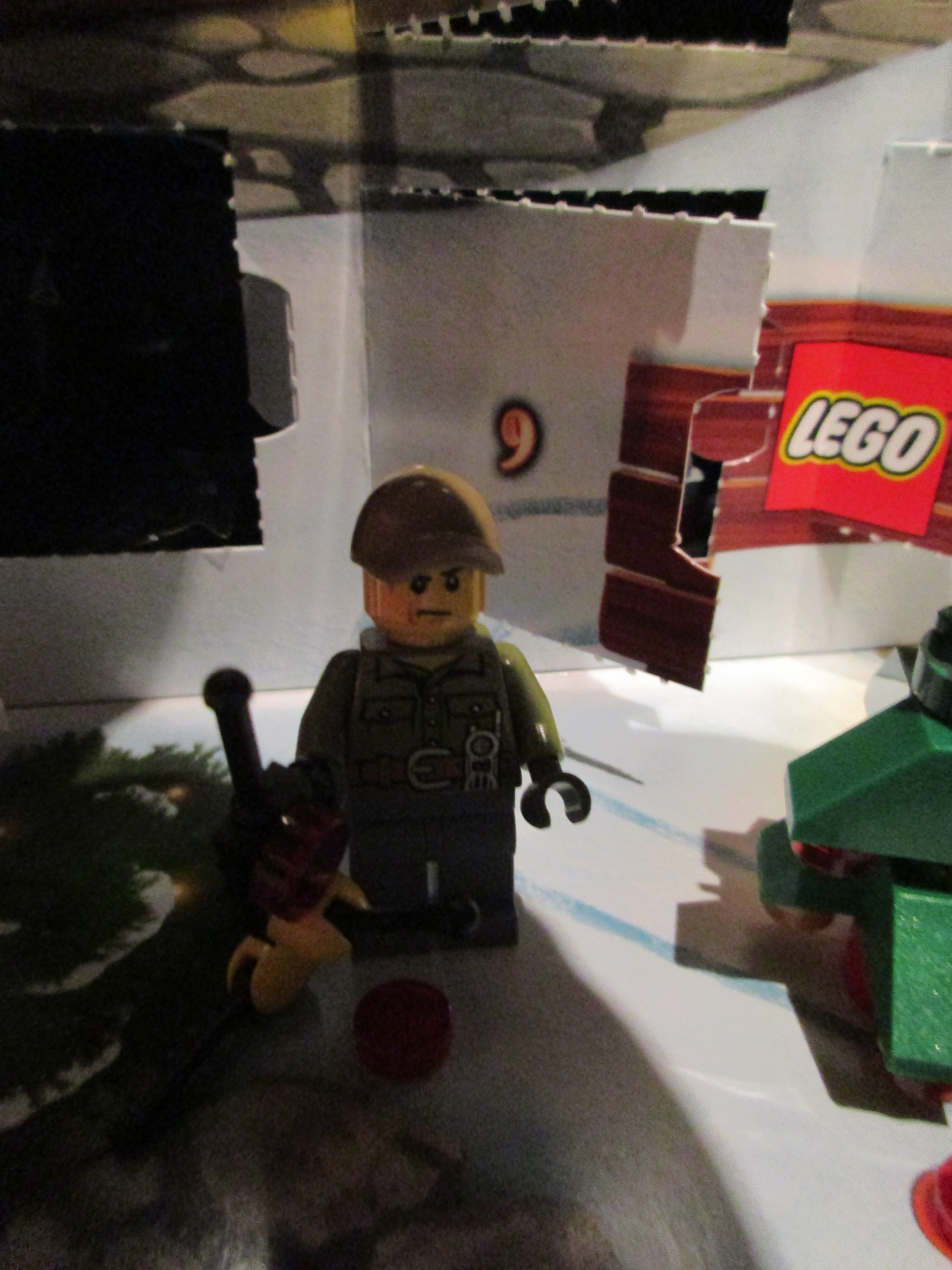 60133day13c.jpg
