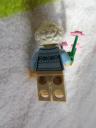 60134minifigure20.jpg