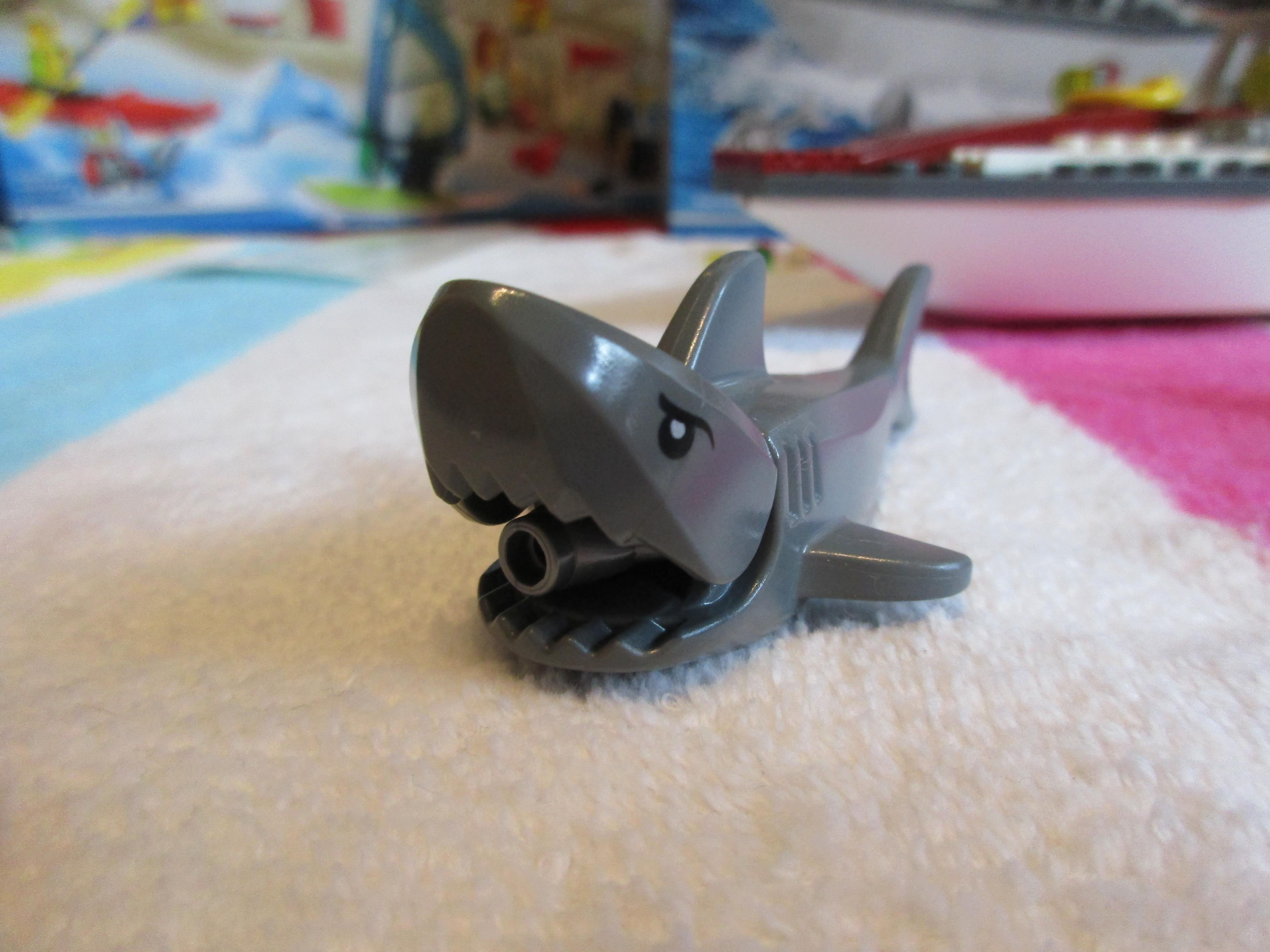 60147shark.jpg
