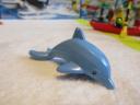 60153dolphin.jpg