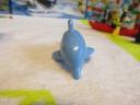 60153dolphin3.jpg