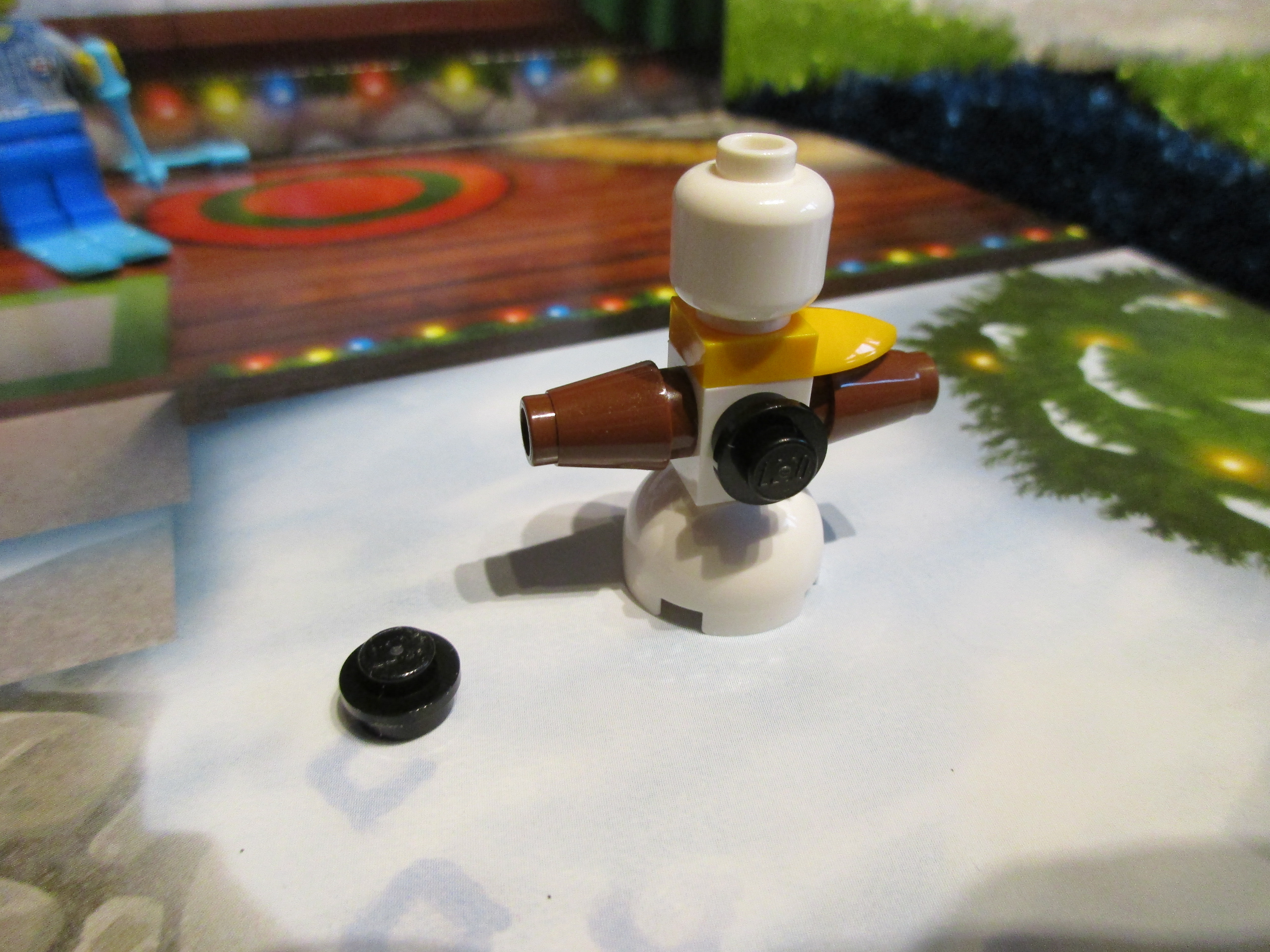 60155day11.jpg