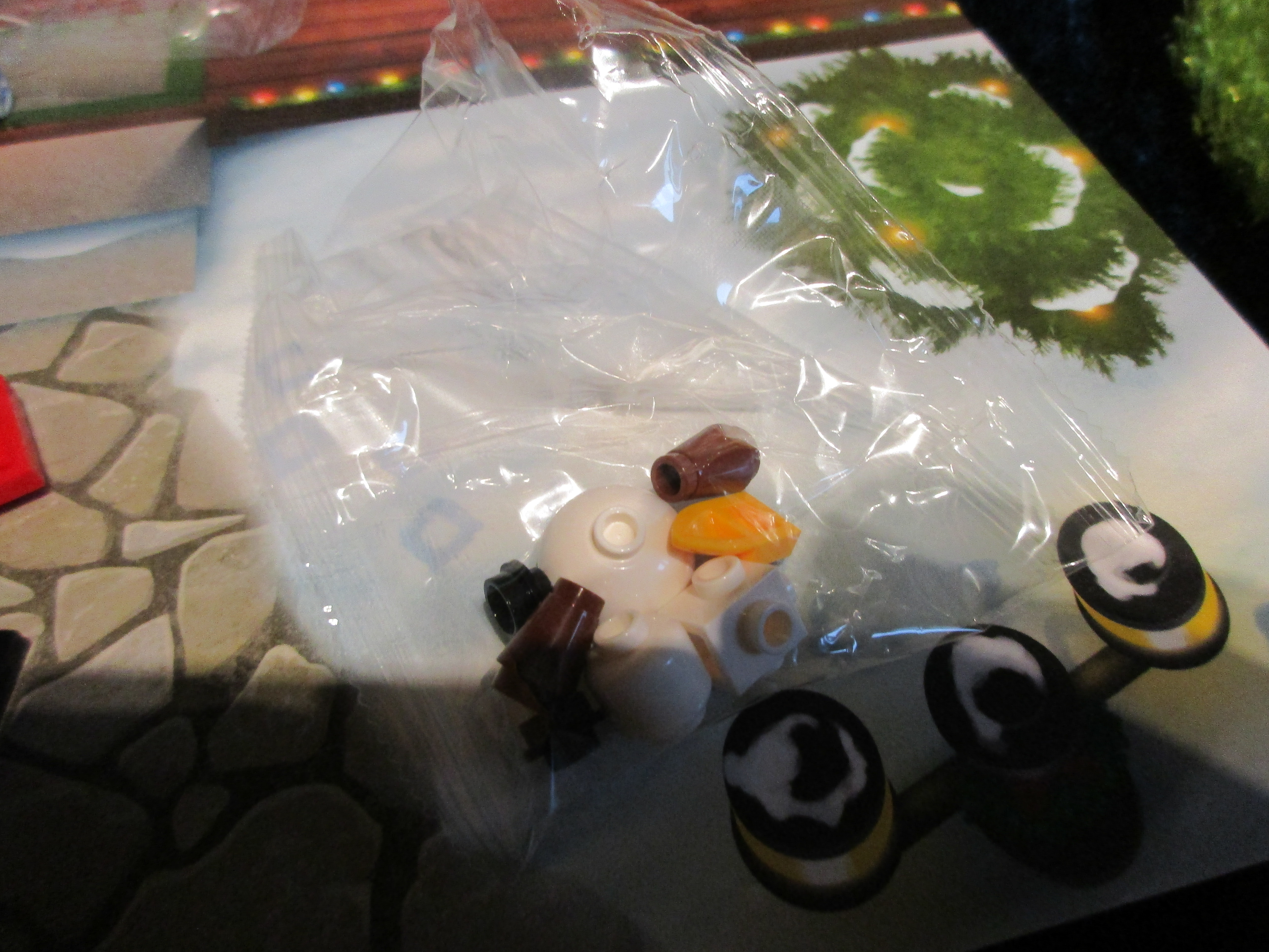 60155day11b.jpg