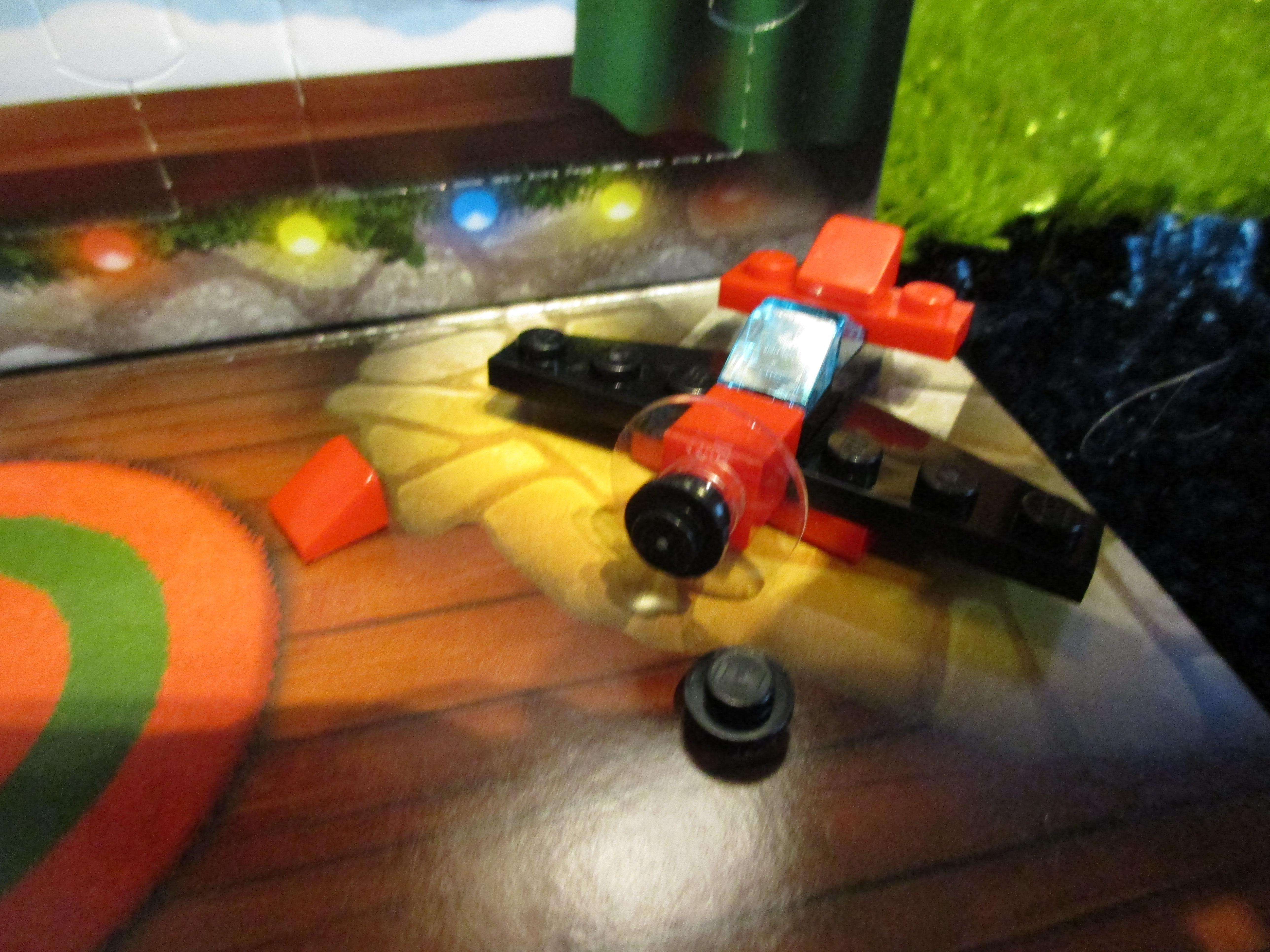 60155day6.jpg