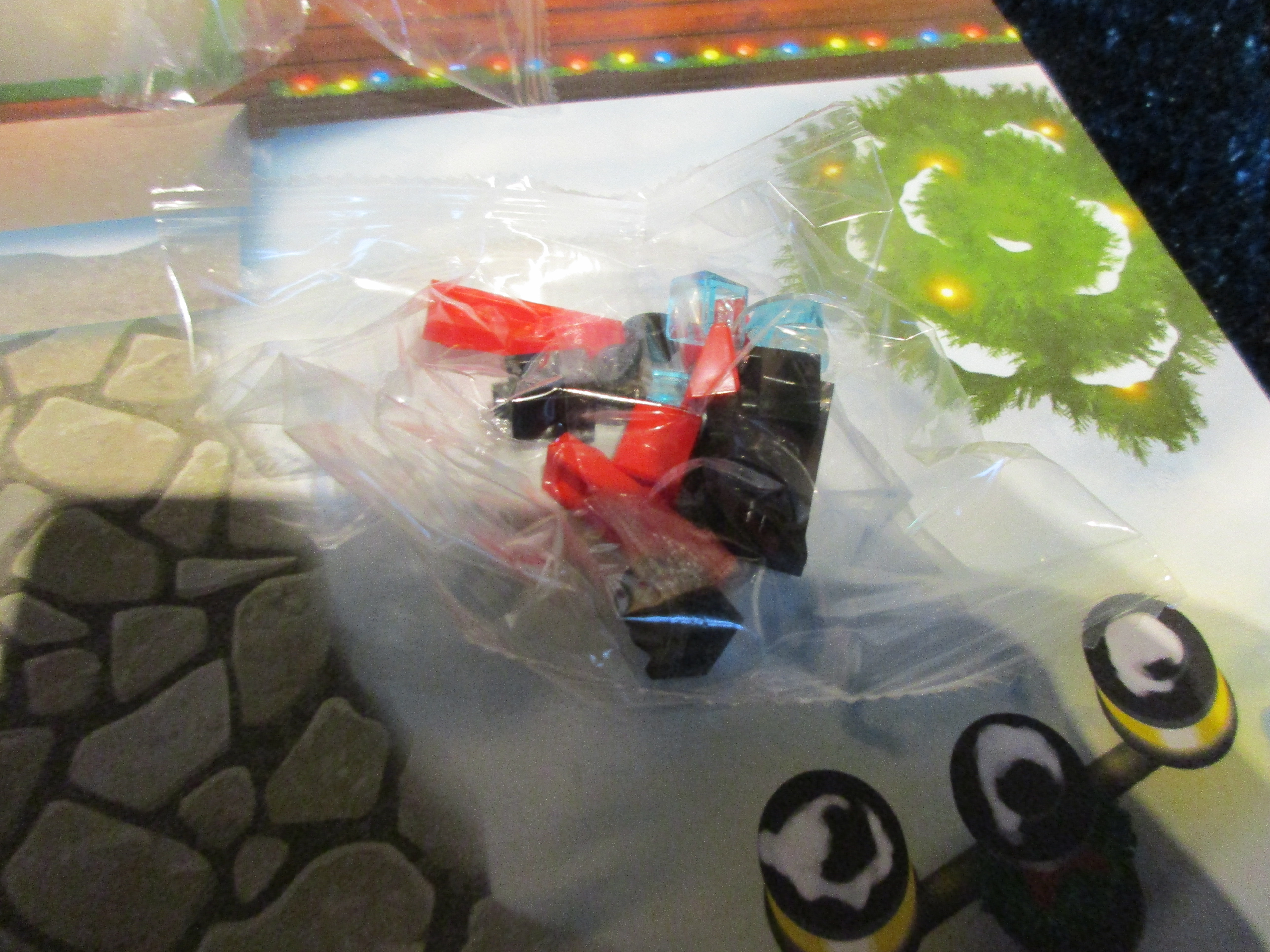 60155day6b.jpg