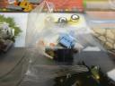 60155day8b.jpg